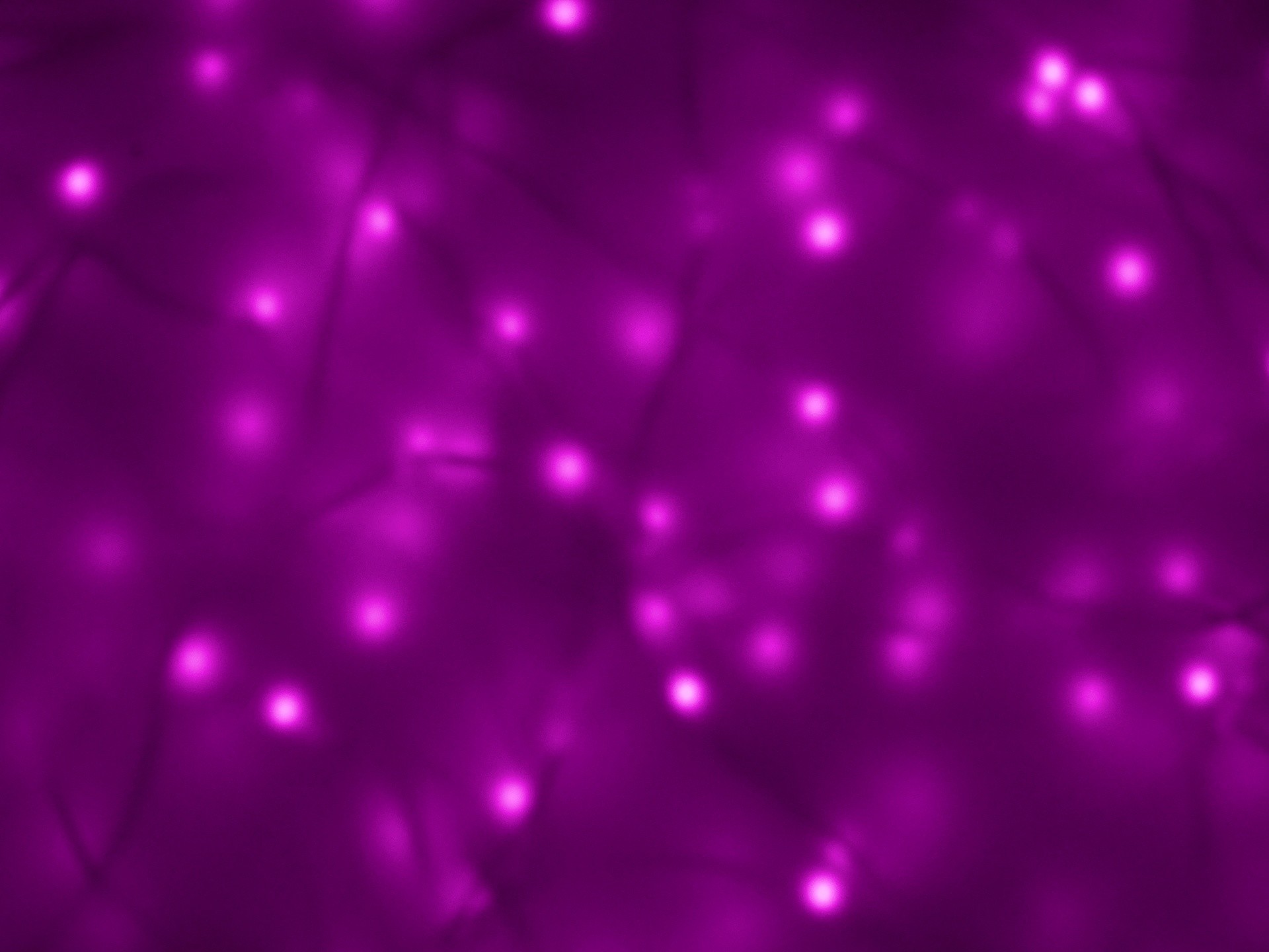1920x1440 1920 x 1440 px, â½ 131 times. purple backgrounds neon lights ...