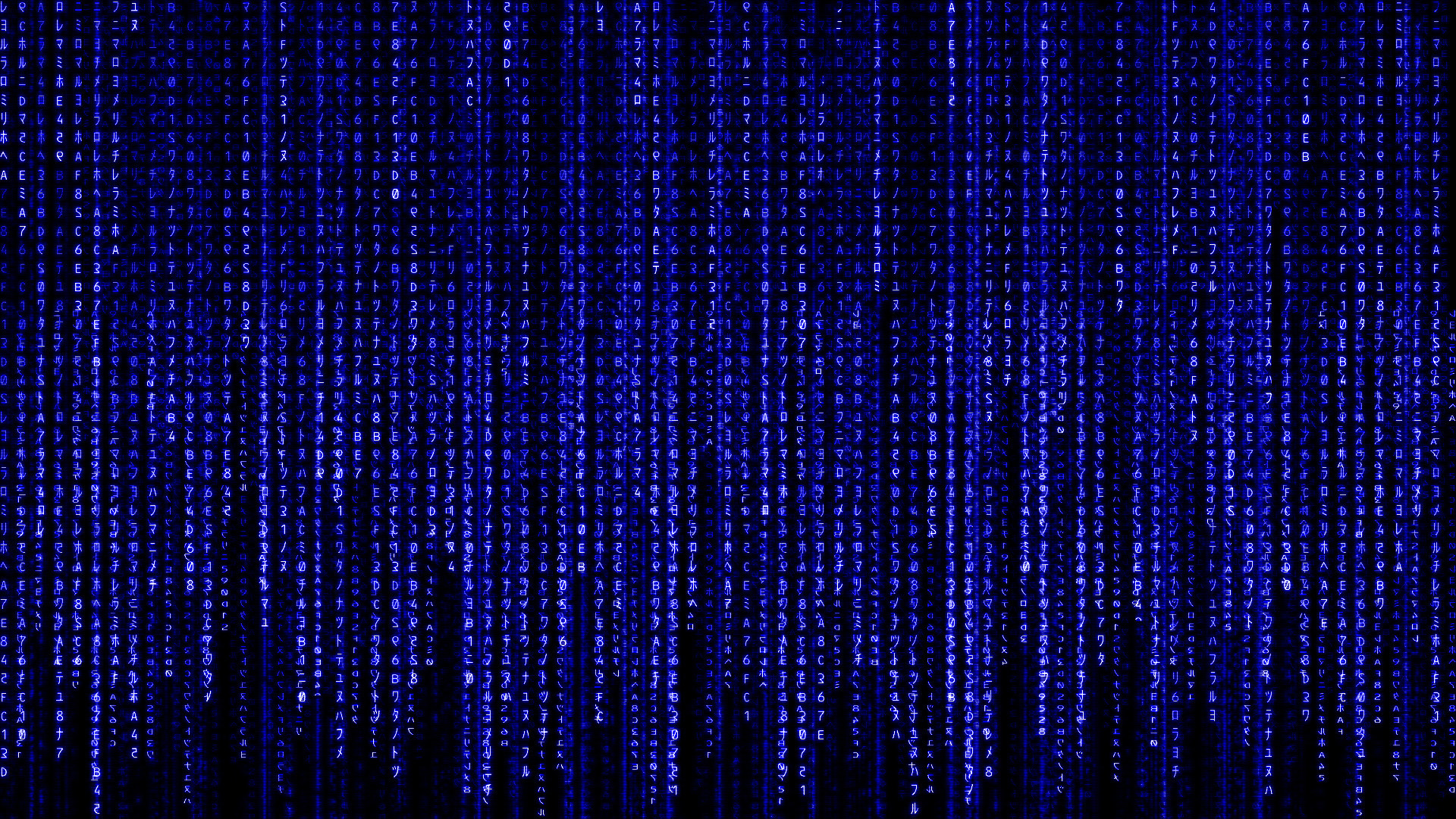 1920x1080  High definition animated loop of green binary streams falling  over a dark background. Matrix binary