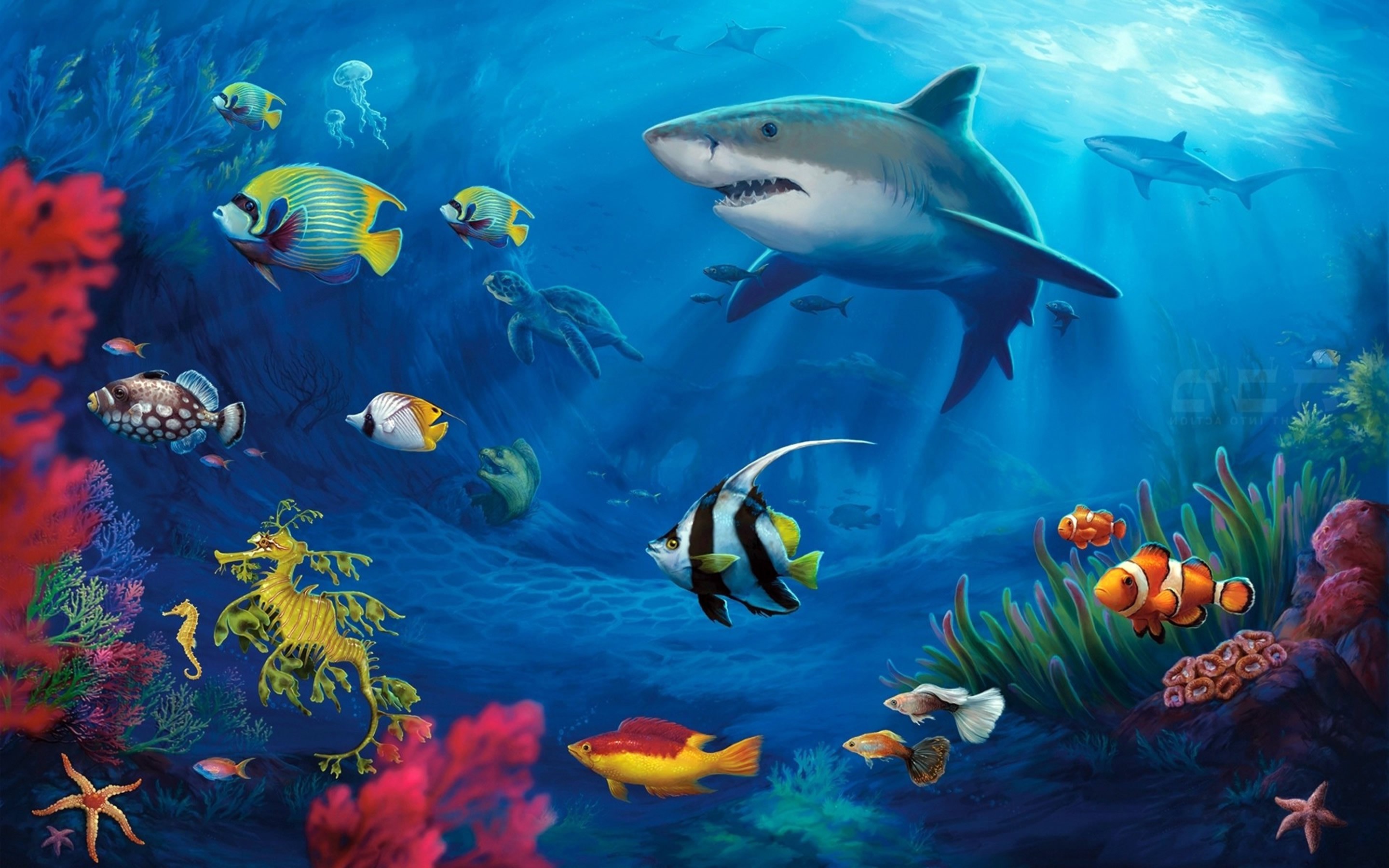 2880x1800 Underwater Scene Wallpaper (59 Wallpapers) – HD Wallpapers ...