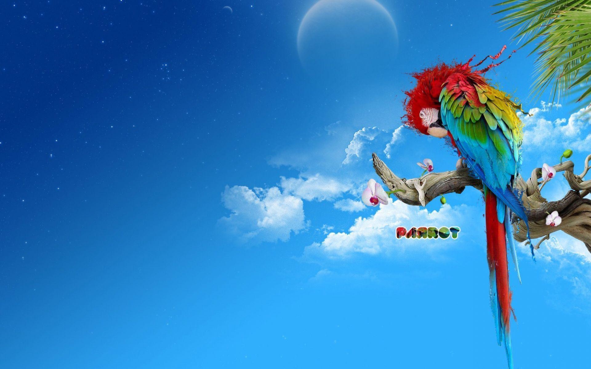 1920x1200 3D Parrot With Rainbow Color Splash Wallpaper | HD Animals and .