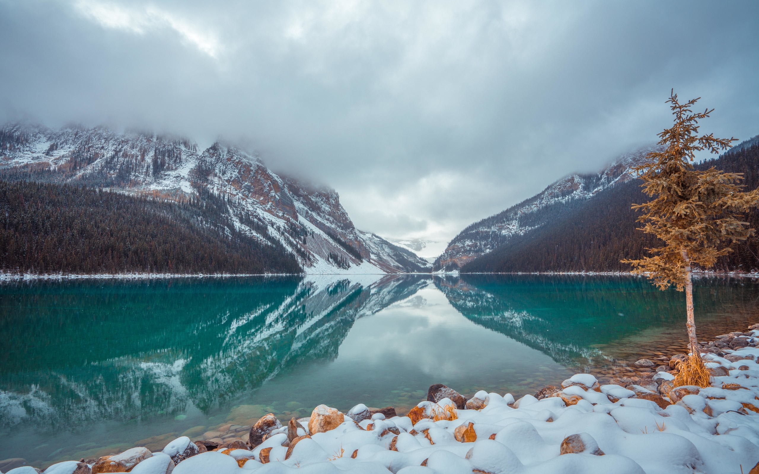 2560x1600 HD Wallpaper Lake Louise, Winter, Mountains, Nature, Trees