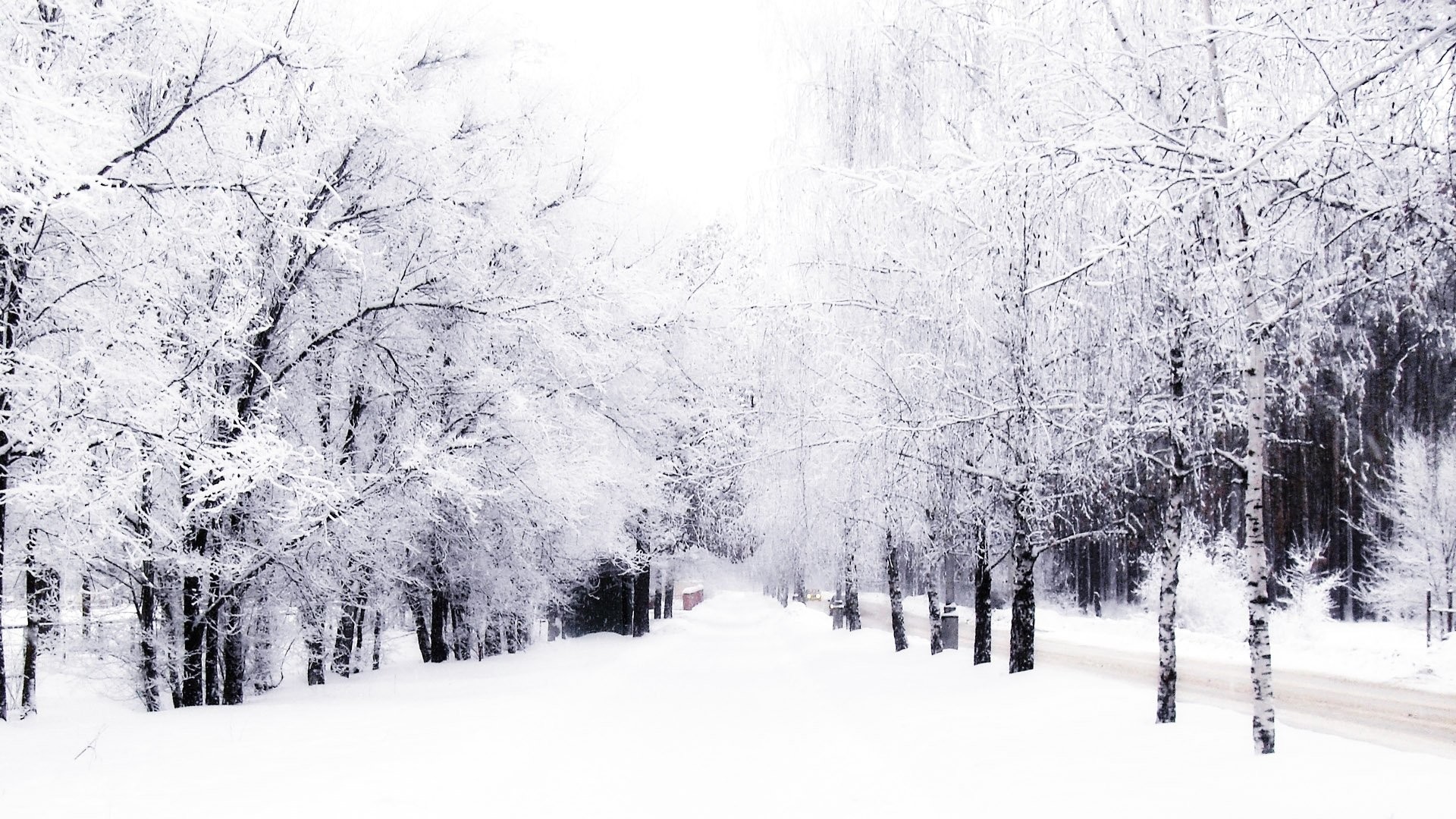 1920x1080 Winter Backgrounds 458231