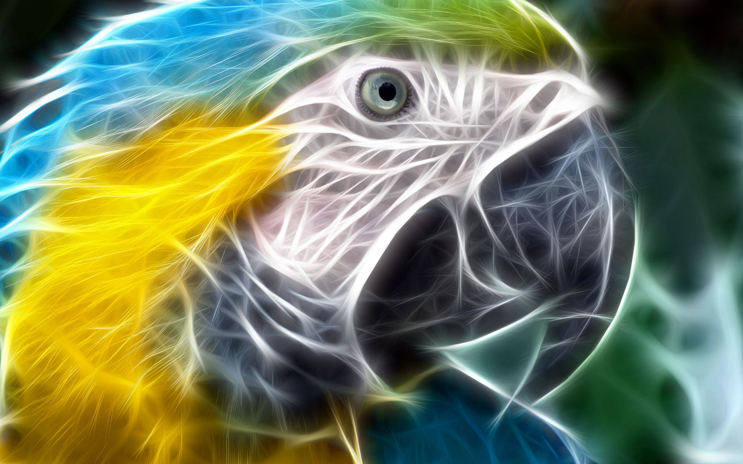 2560x1600 Best 3D Animal Wallpaper HD Animated Animal Wallpaper