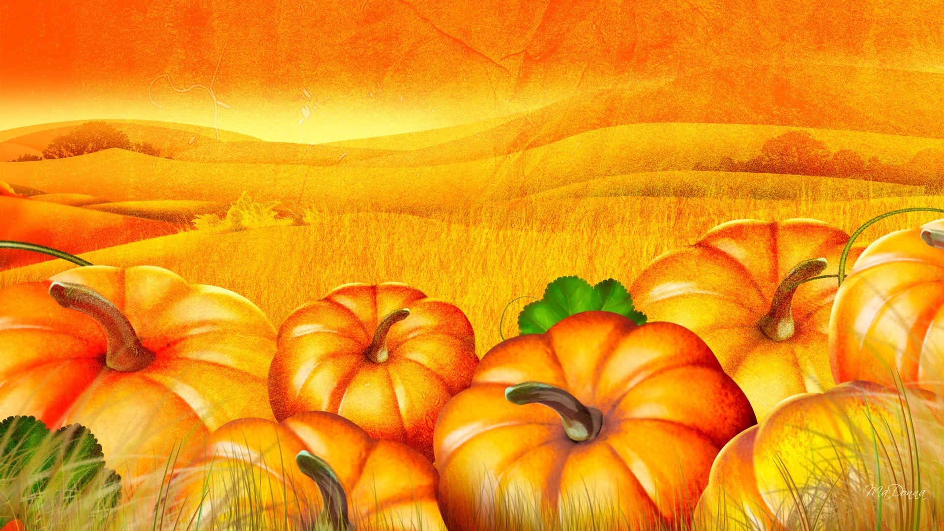 Pumpkin wallpapers hd desktop backgrounds images and pictures