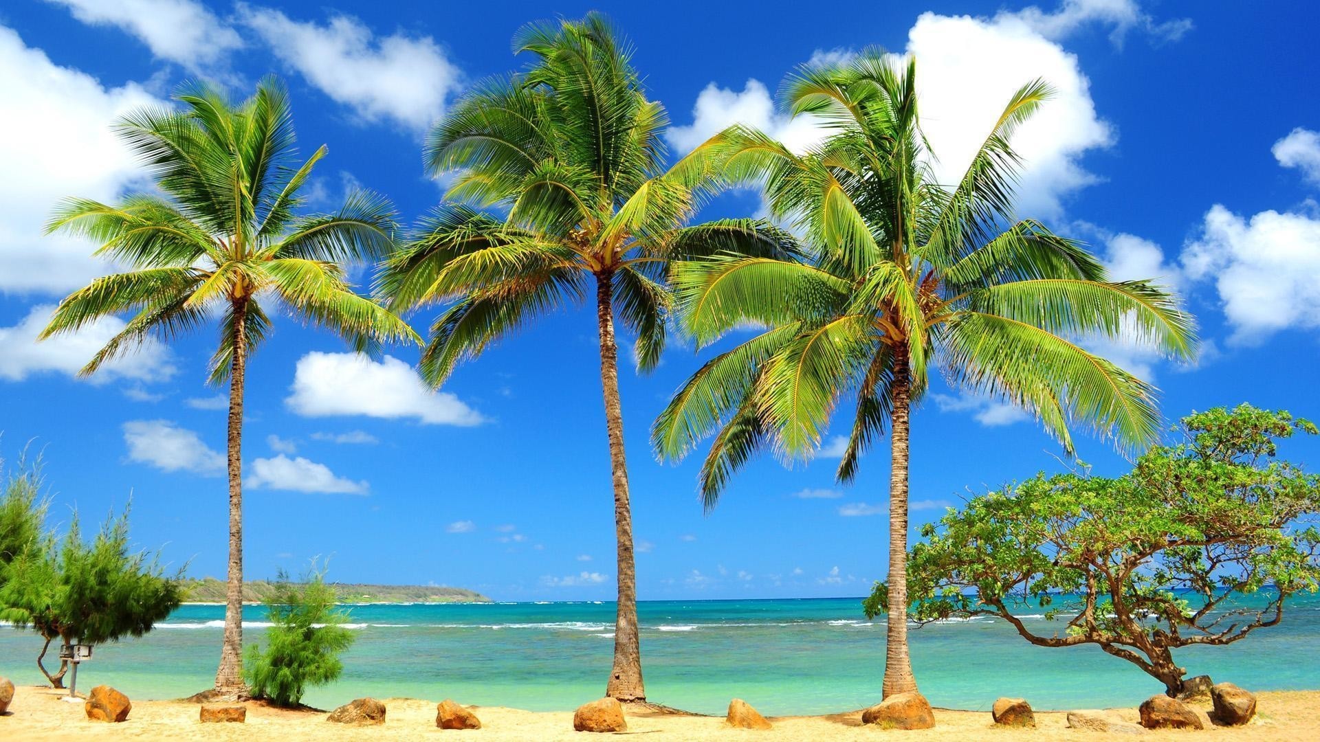 1920x1080  Caribbean Beach Wallpapers Free - | My Wallz - Wallpapers free to  .