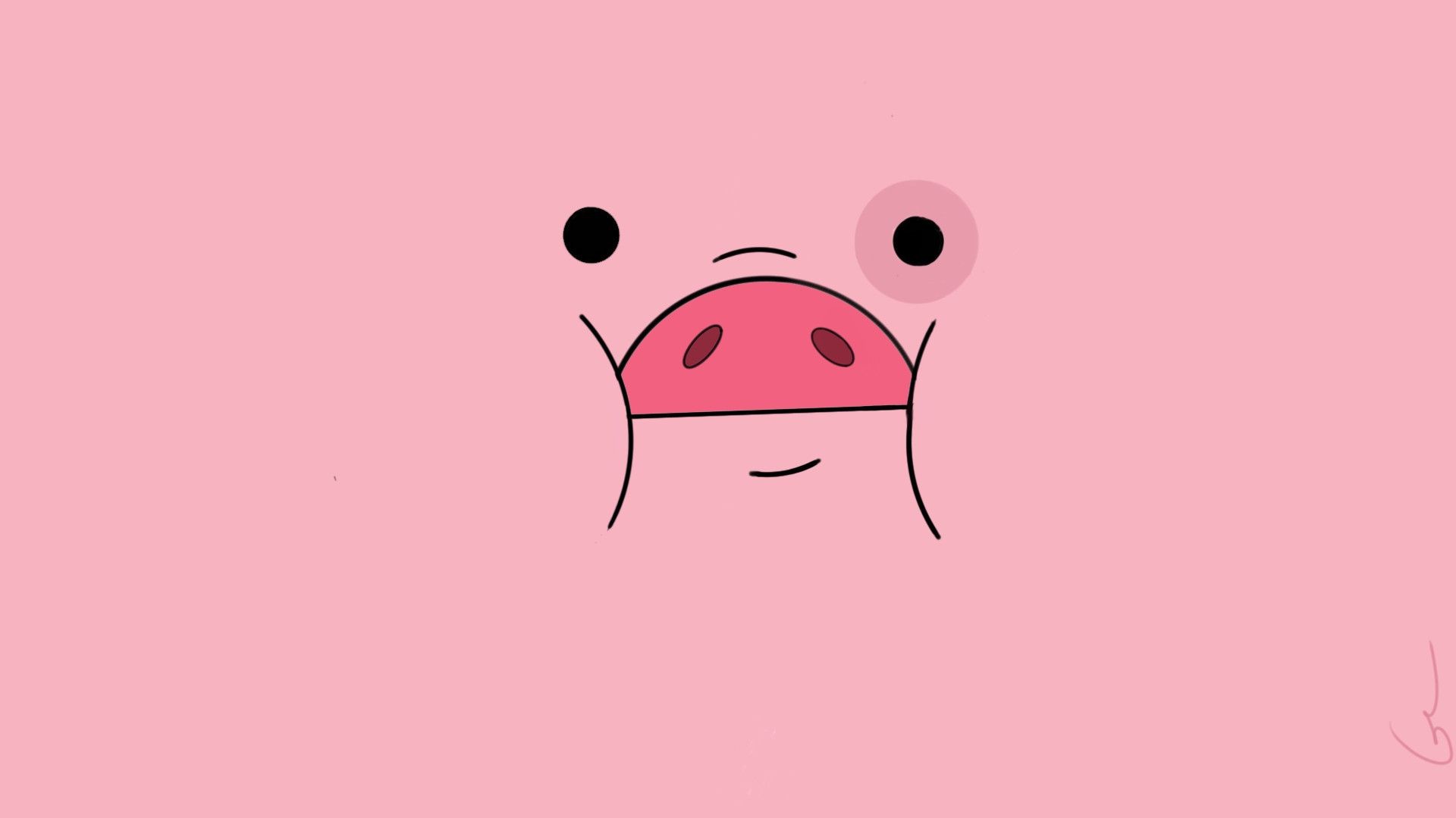 1920x1080 1338x858 Stunning Pig Wallpaper Of Cute Piglet Backgrounds Inspiration And">