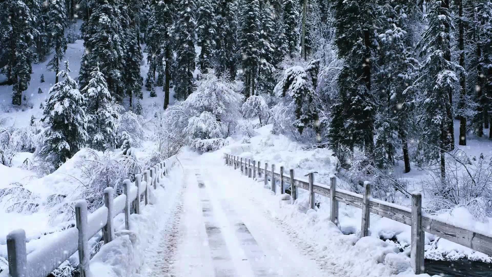 1920x1080 Stunning Snowfall Animated Images