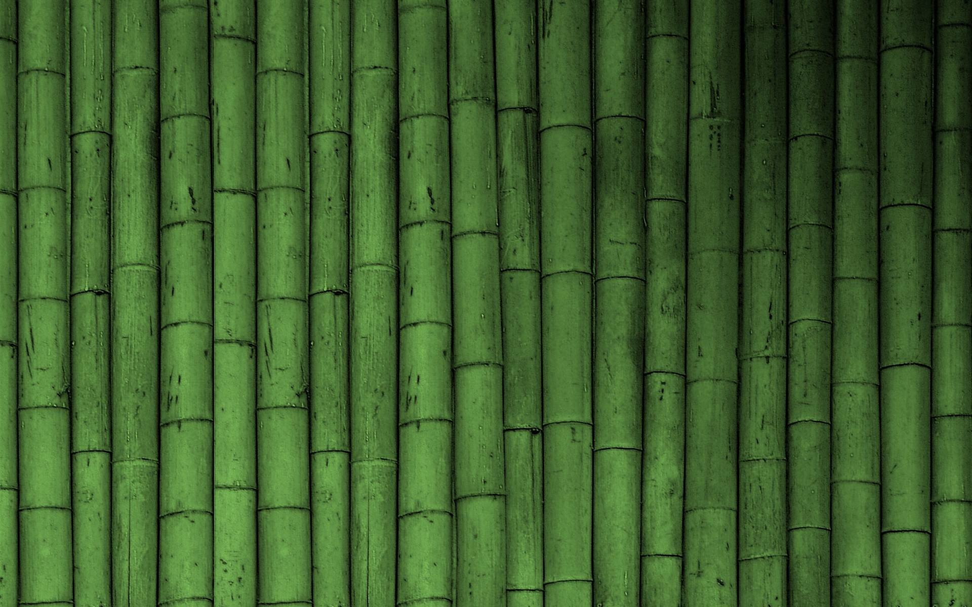 1920x1200 HD Bamboo Wallpapers Download Free 1280Ã800 Bamboo Wallpaper (38 Wallpapers)  | Adorable