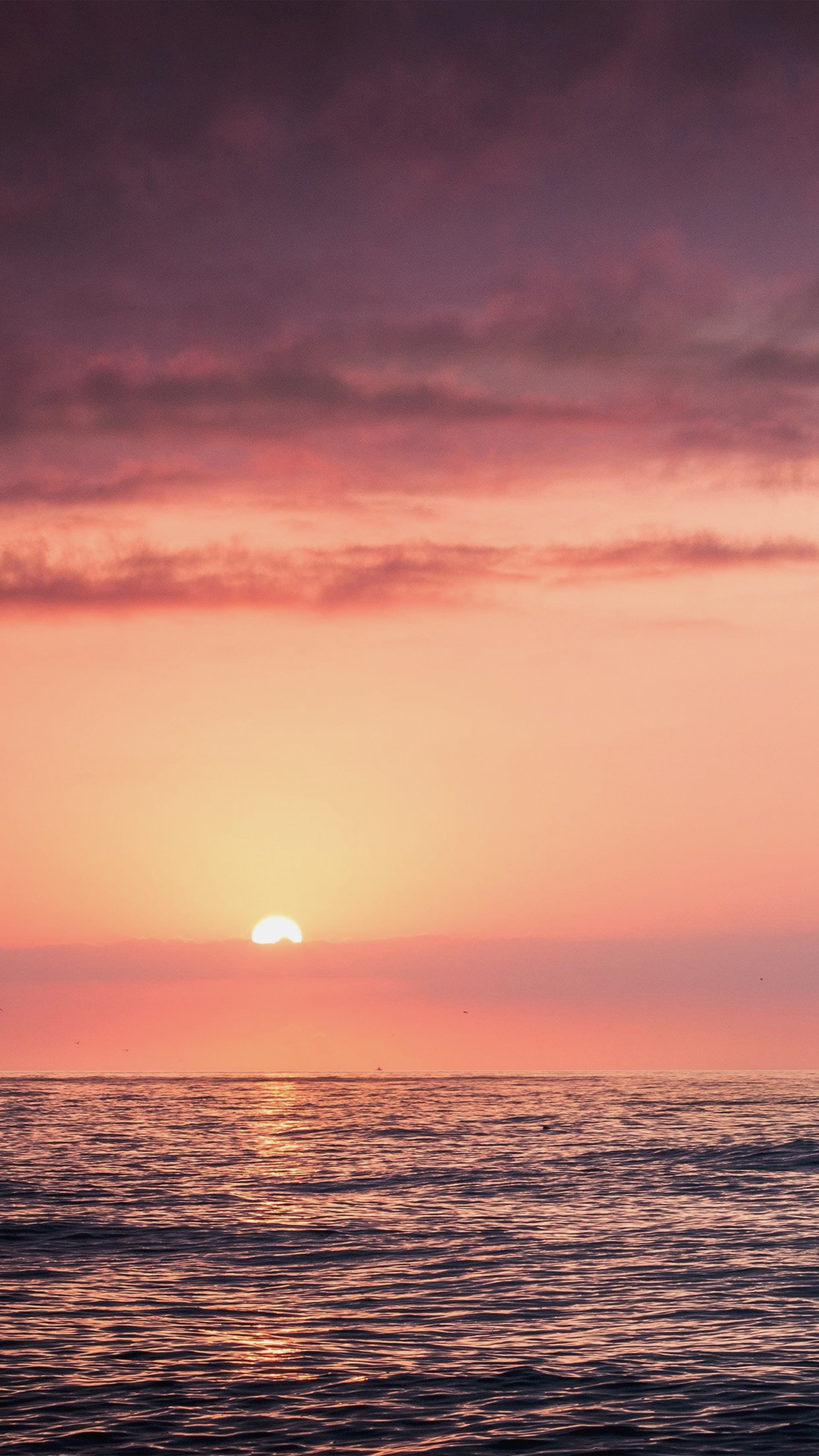 1920x3413 Sunset Sea Beach Sky Red iPhone 6 plus wallpaper