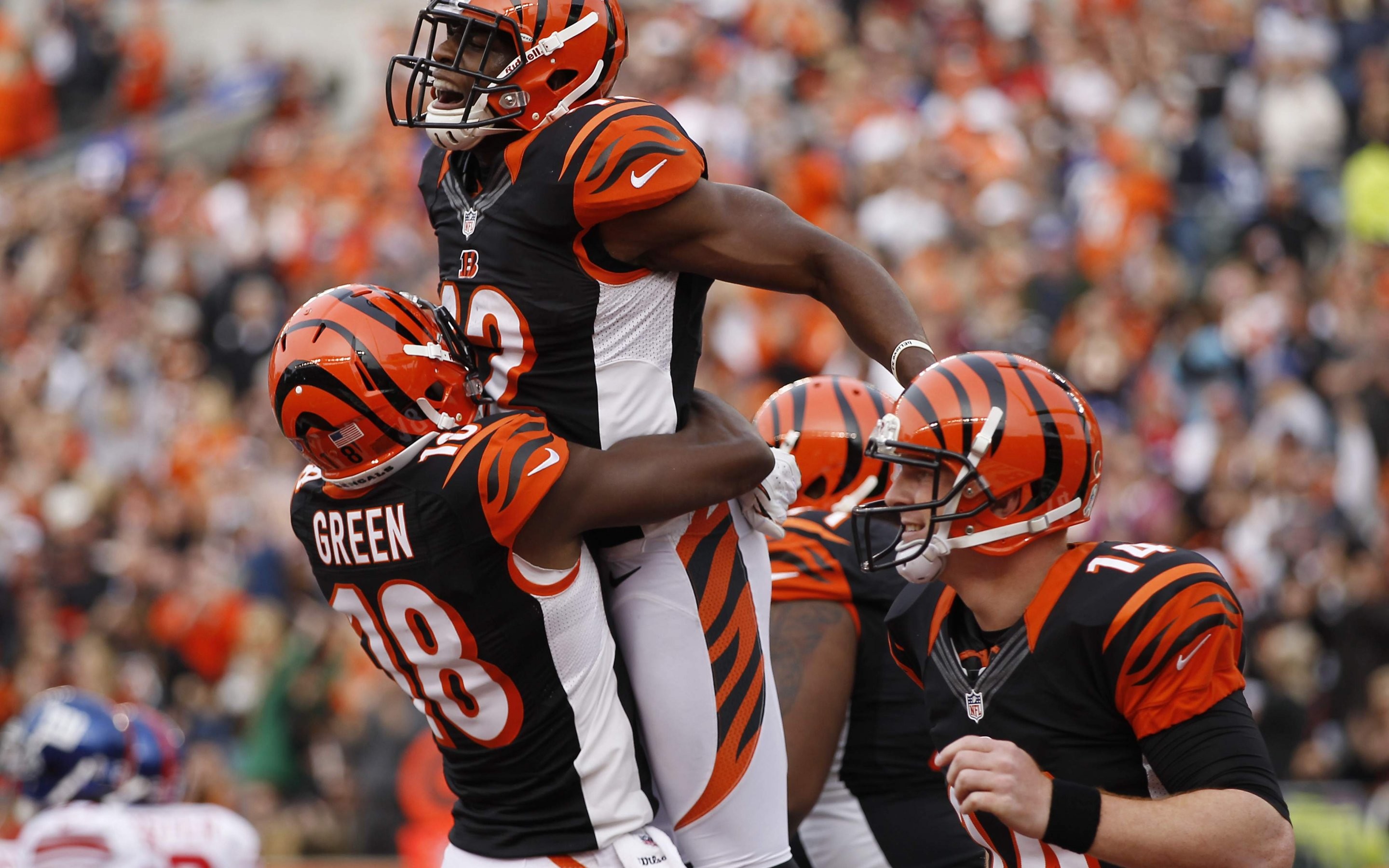 Cincinnati Bengals NFL Wallpaper 85548 - Baltana