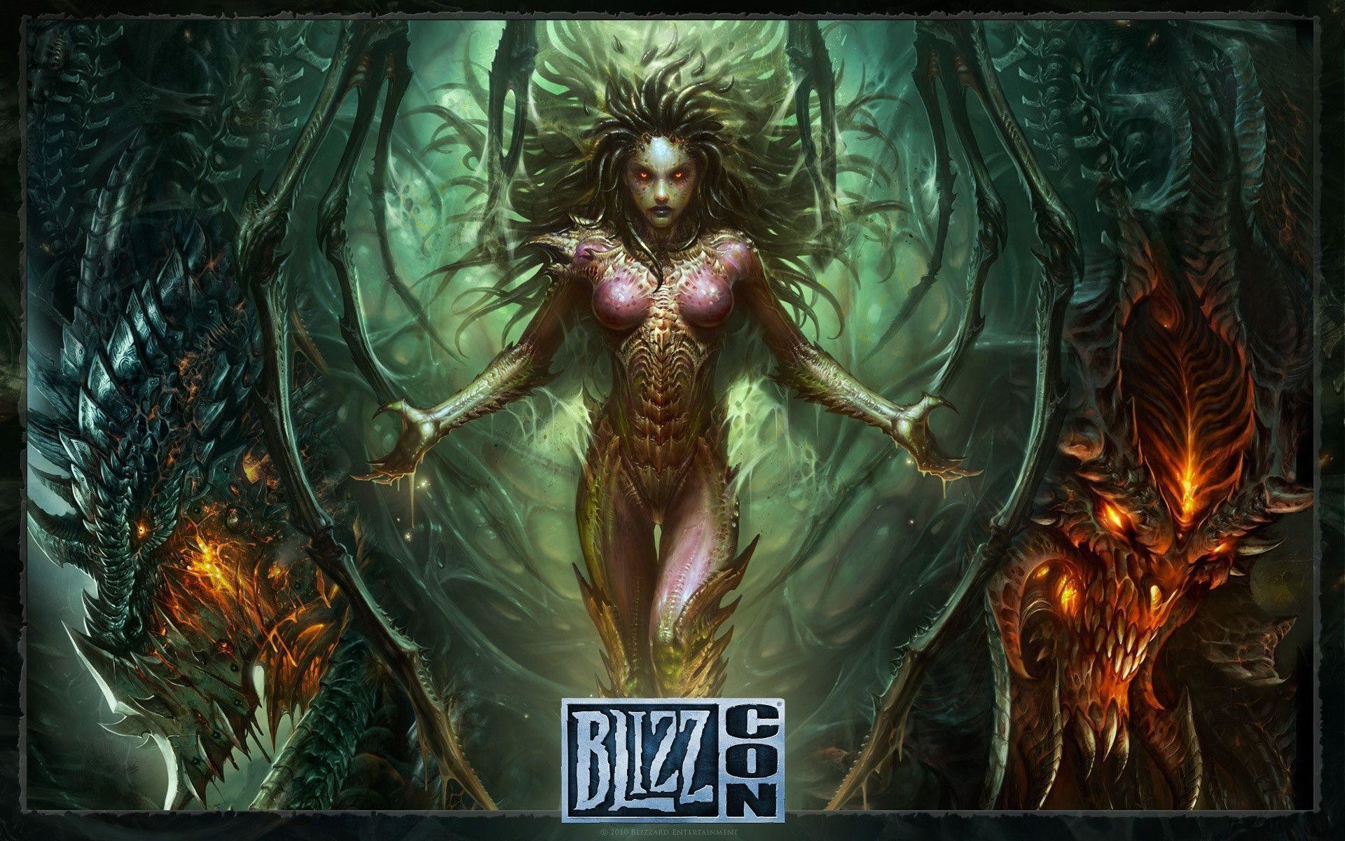 1920x1200 Blizzard Wallpaper Download