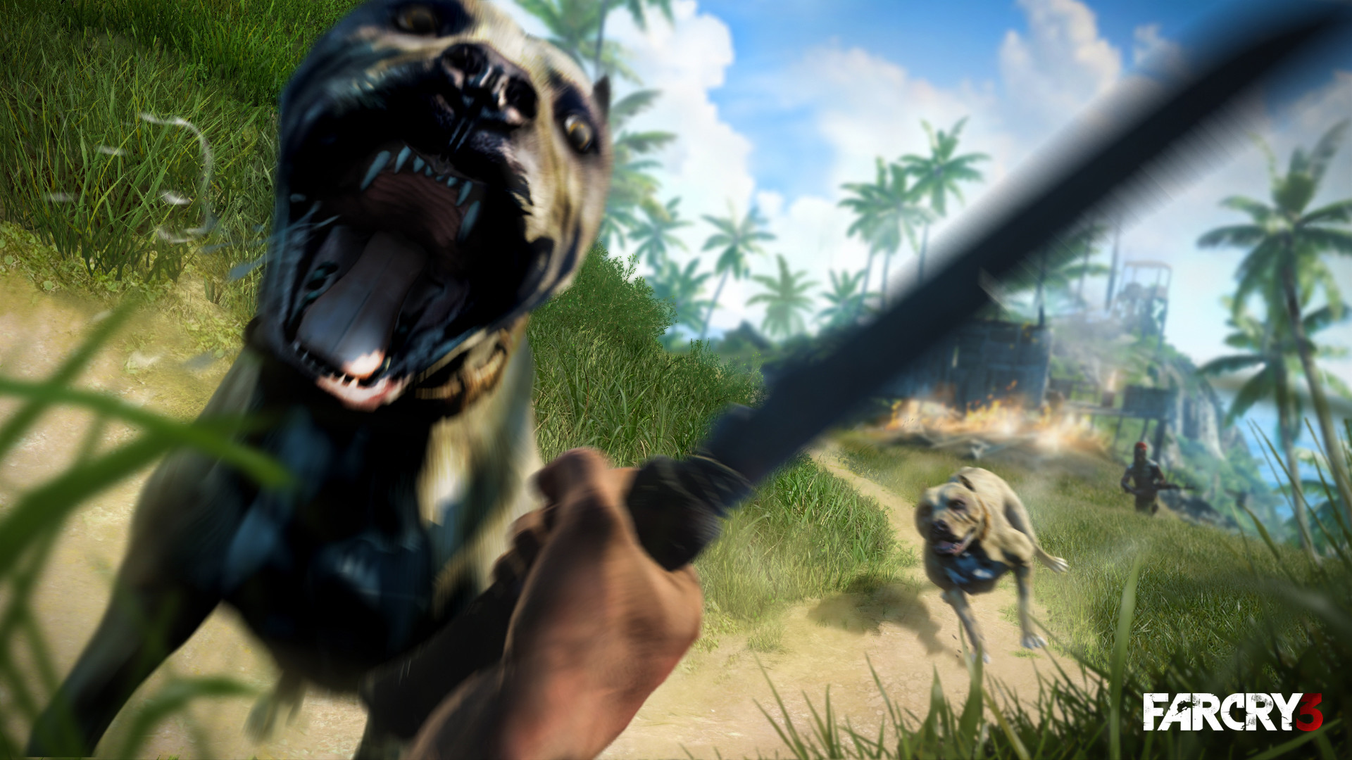 Far Cry 3 wallpaper 09 1080p Horizontal