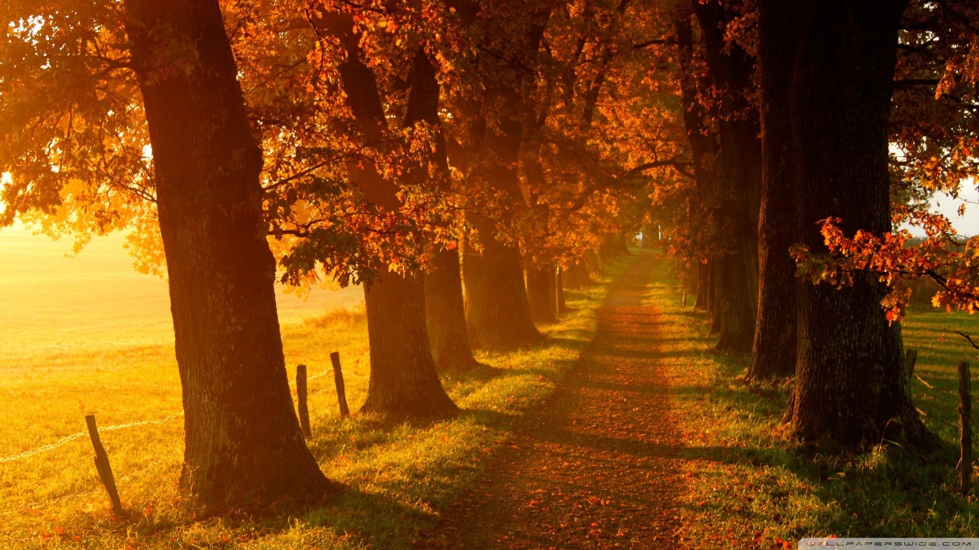 1920x1080 Autumn Country Road Wallpaper