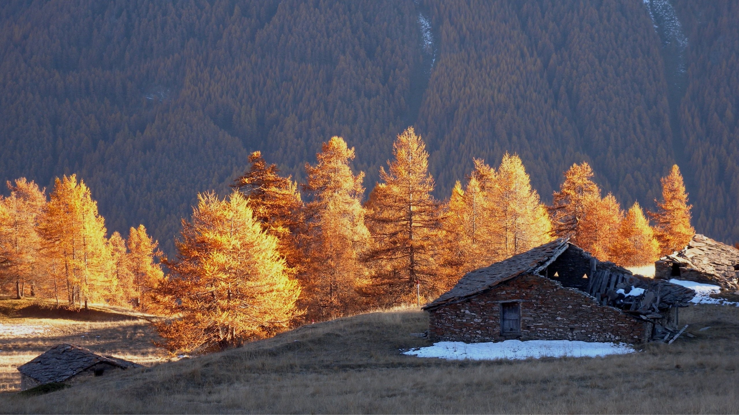 Избушка В Осеннем Лесу Фото