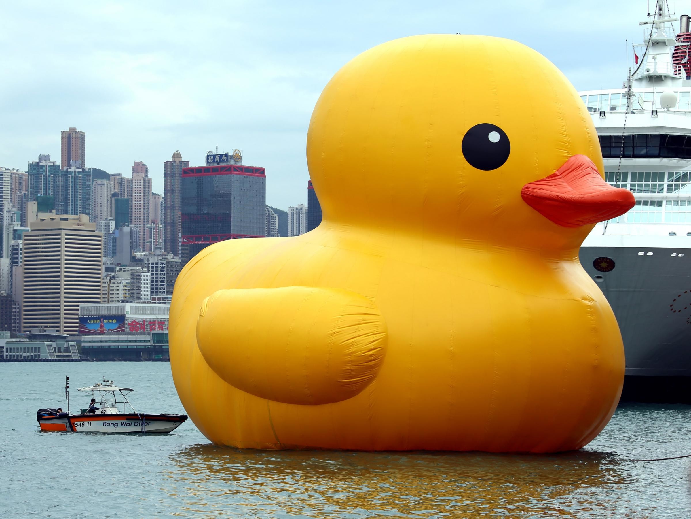 2400x1801 The original inflatable duck by Dutch artist Florentijn Hofman floats in  Hong Kong's Victoria Harbour.