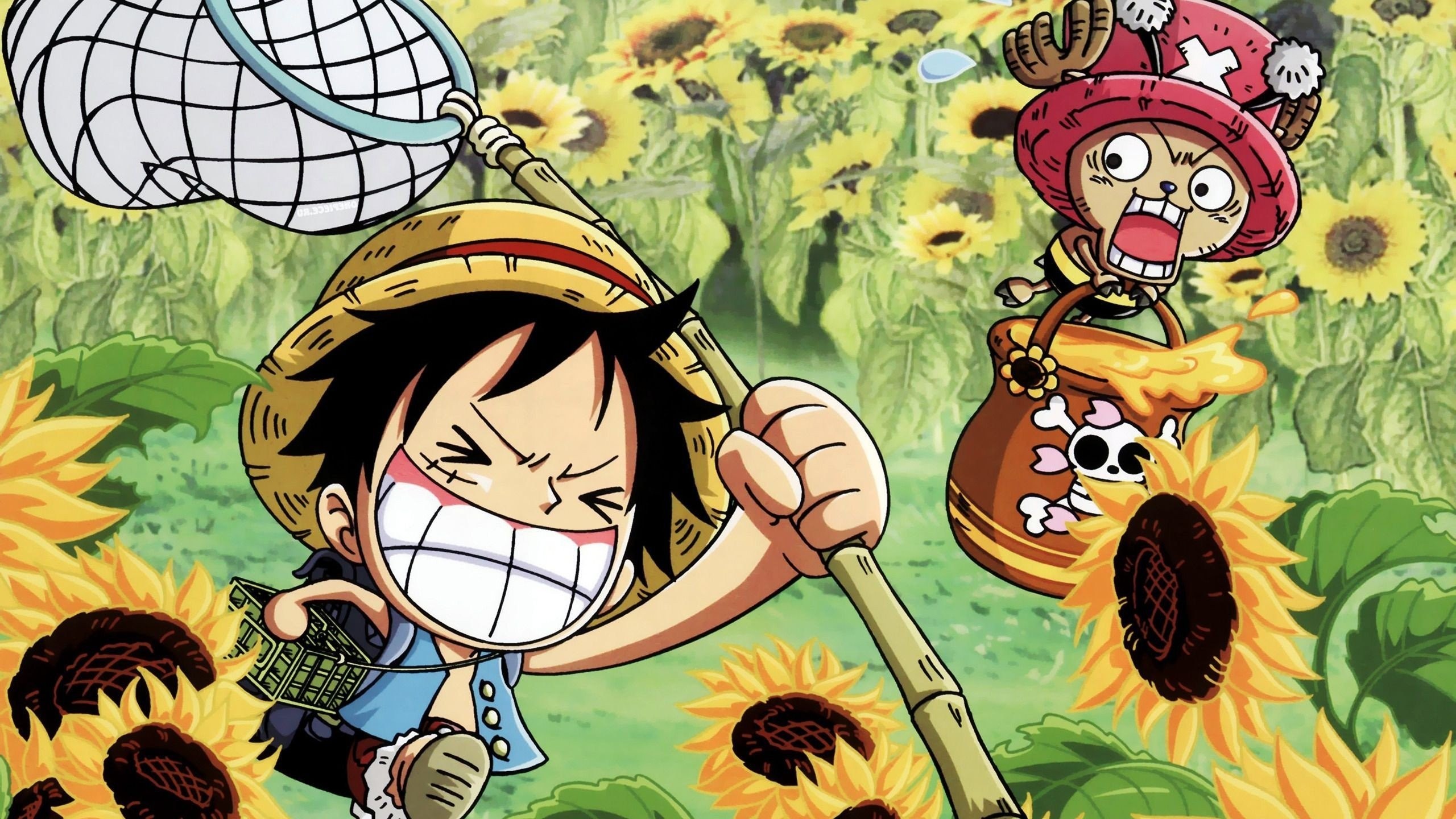 2560x1440 One Piece Wallpapers, HQ Definition One Piece Backgrounds #69XUZ