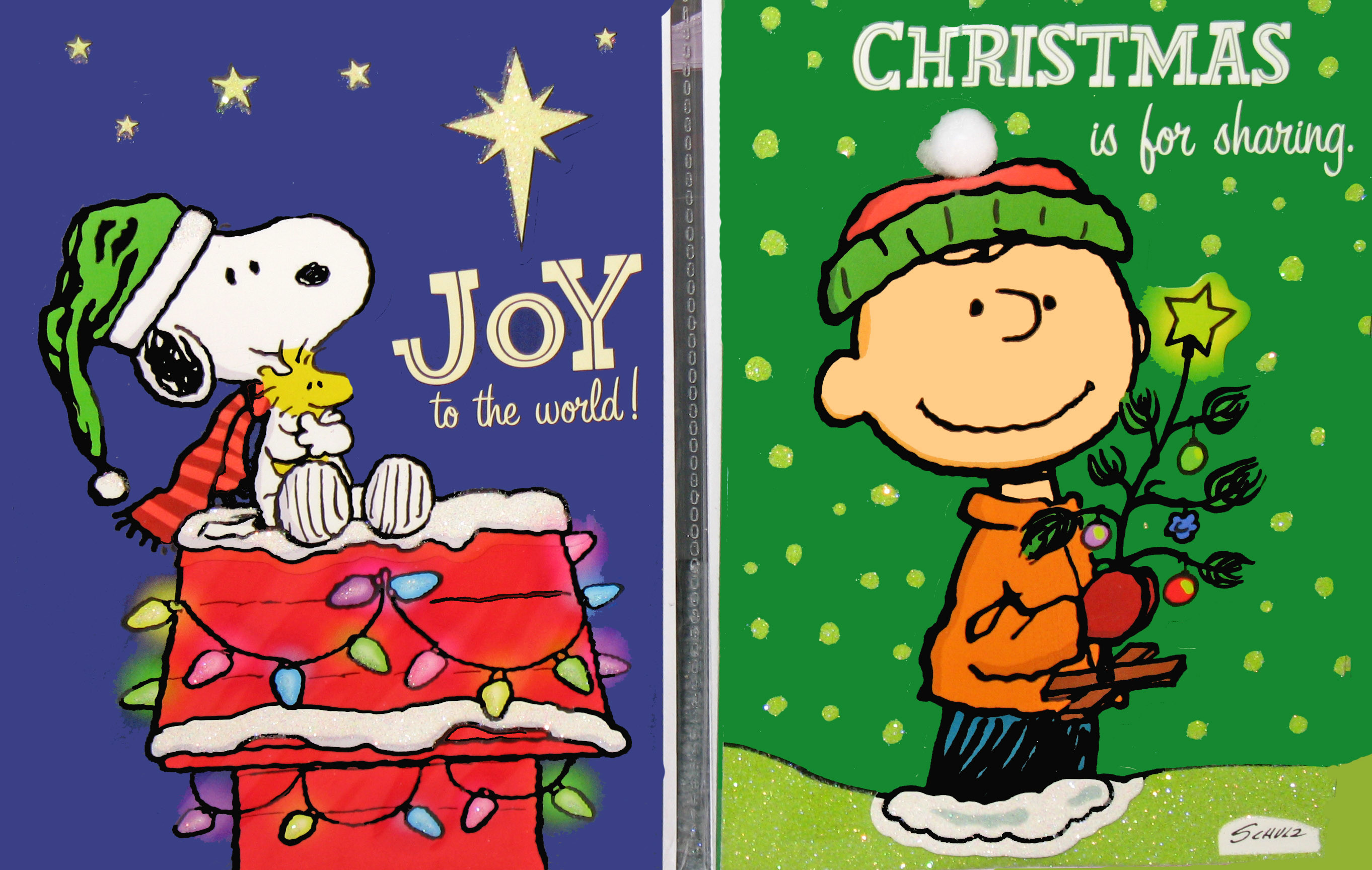 2725x1728 Peanuts Christmas Card Set