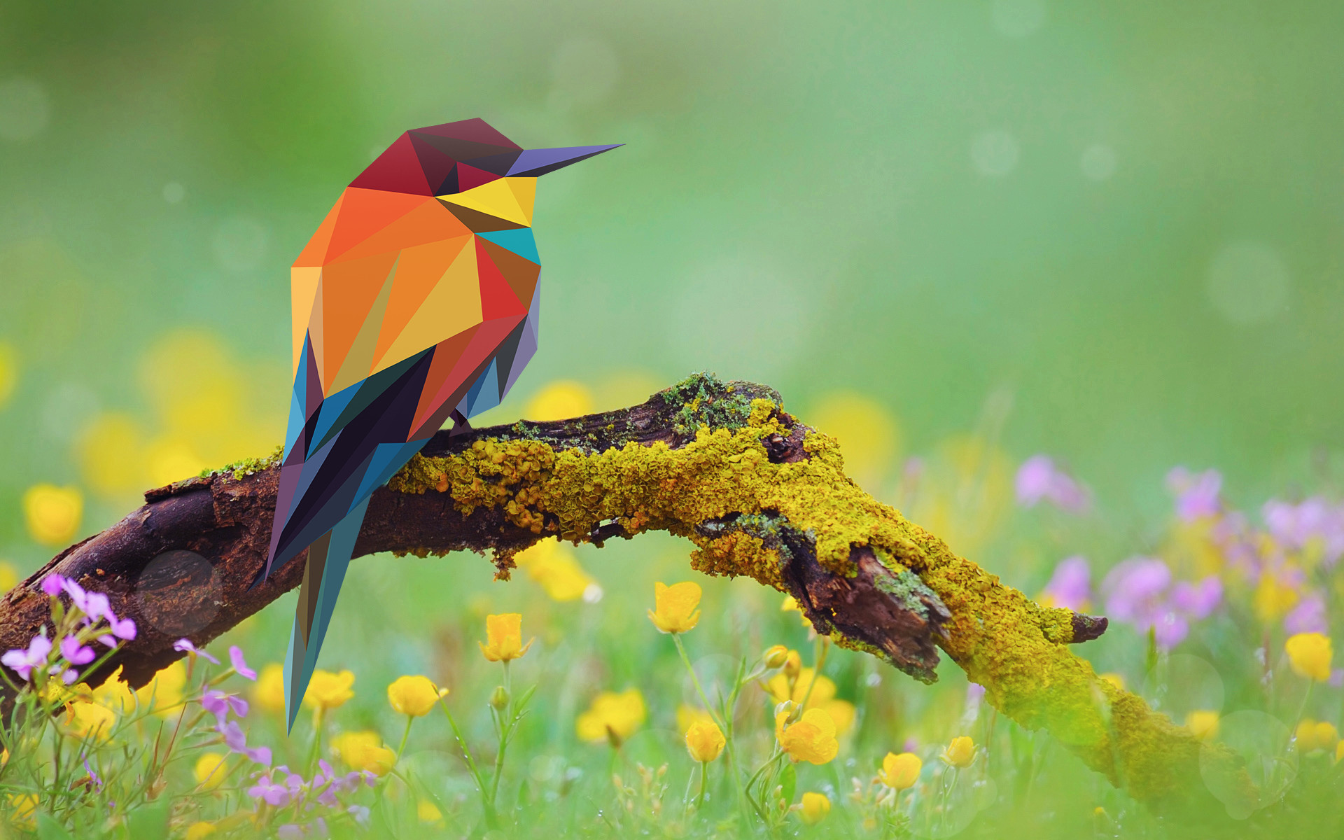 1920x1200 2D low poly bird on a branch ...