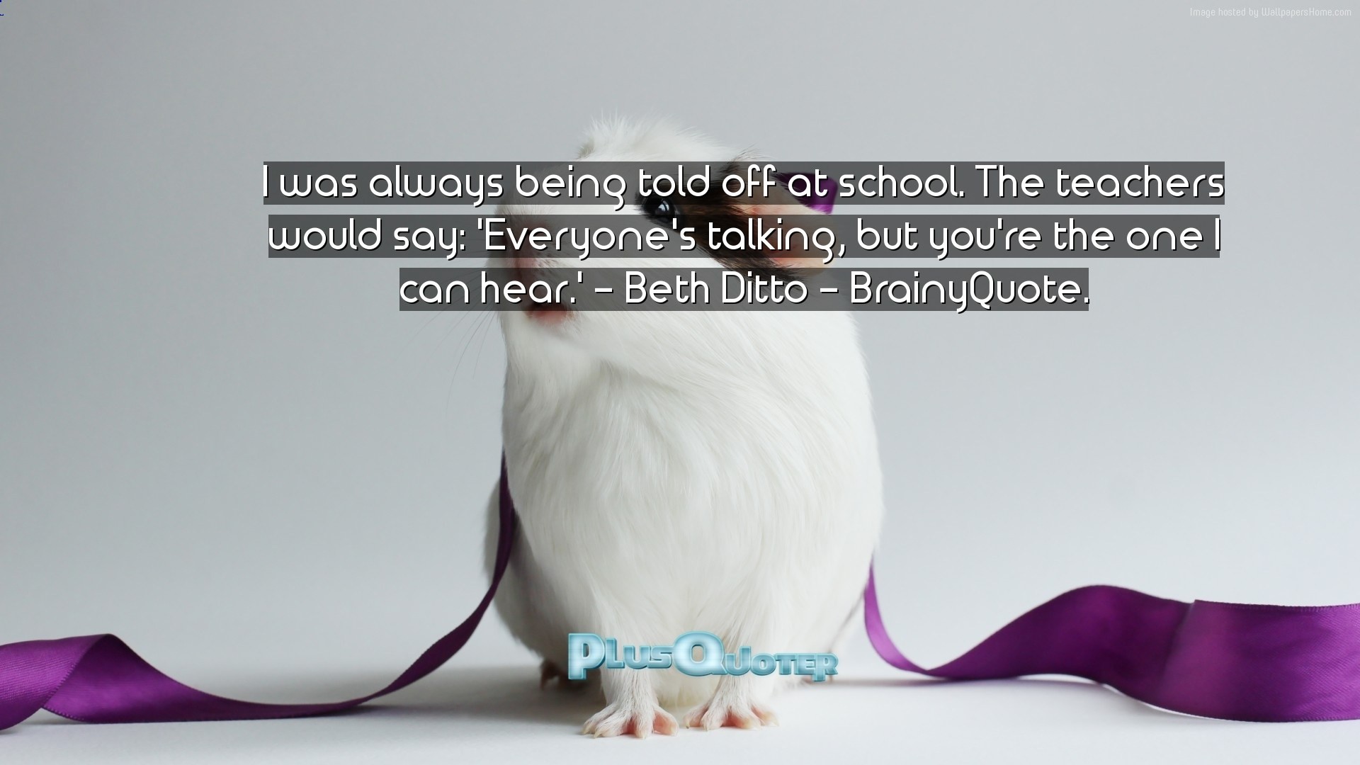 1920x1080 Ditto wallpapers Ditto stock photos Source Â· I was always being told off at  school The teachers would say