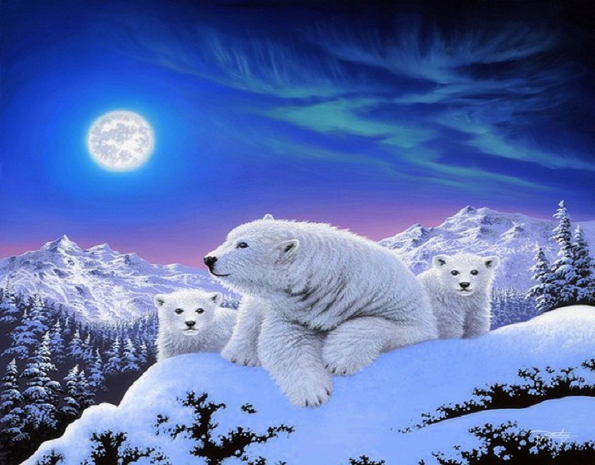 1920x1500 Animal - Polar Bear Animal Cub Artistic Mountain Winter Moon Snow Wallpaper