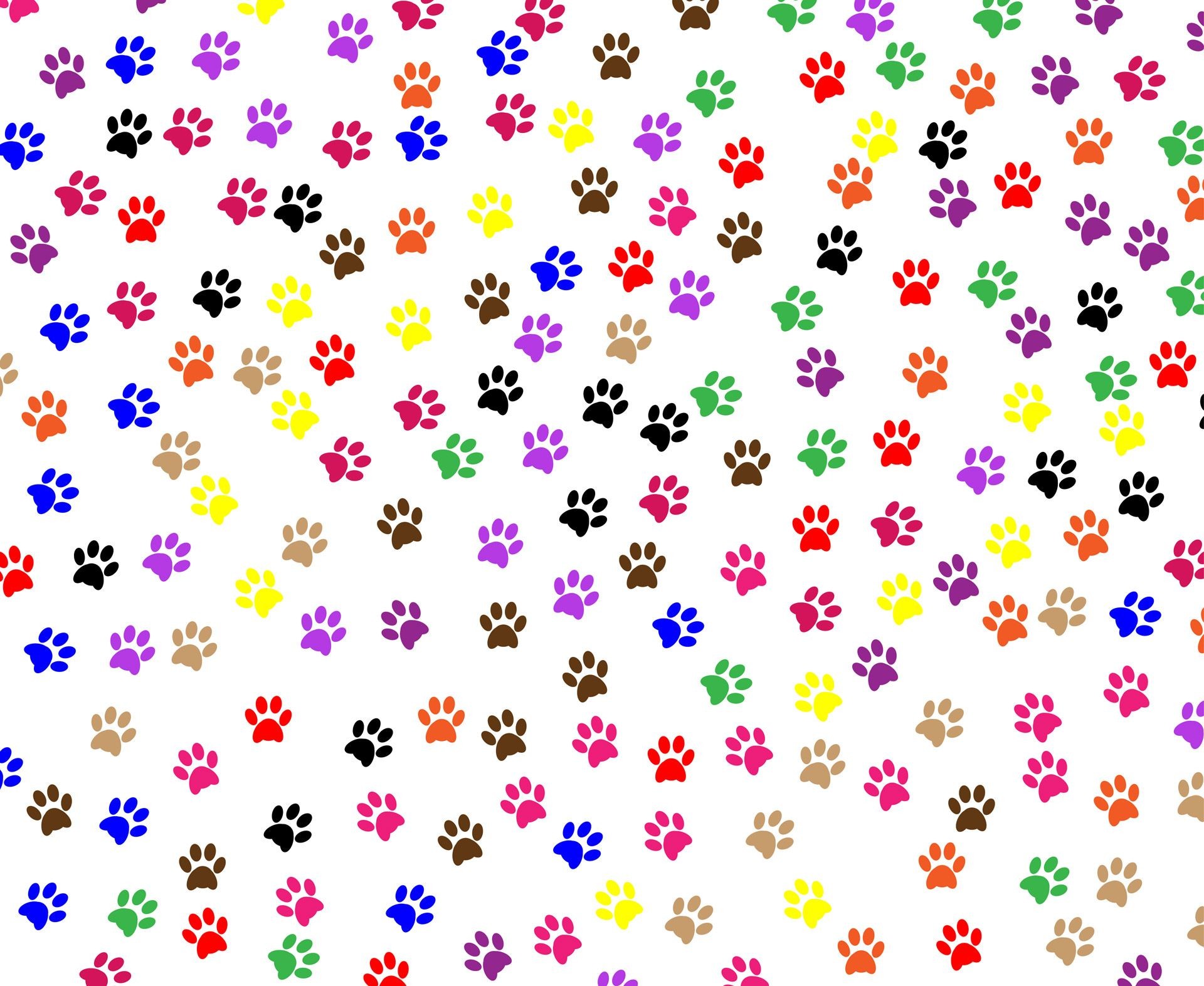 1920x1573 Paw Prints Background Free Stock Photo HD - Public Domain Pictures