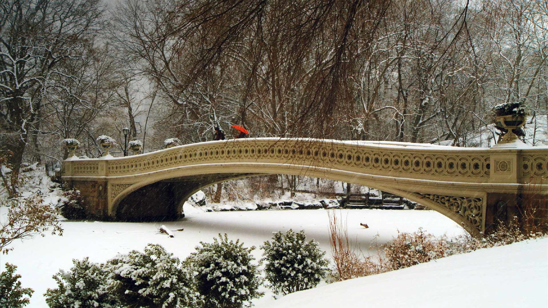 1920x1080 Leaves covered bridge in central park in New York
