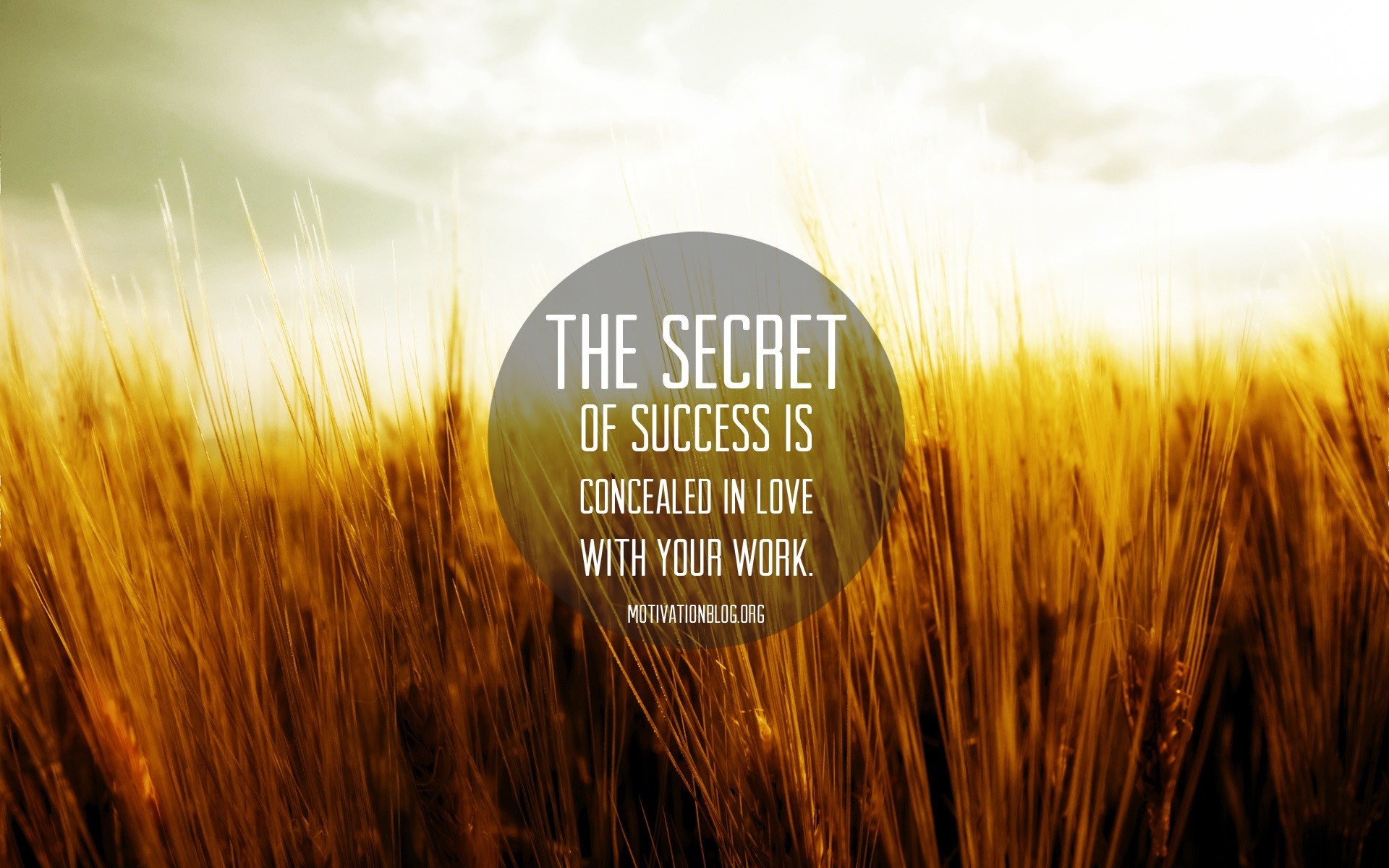 1920x1200 Motivation The secret of success