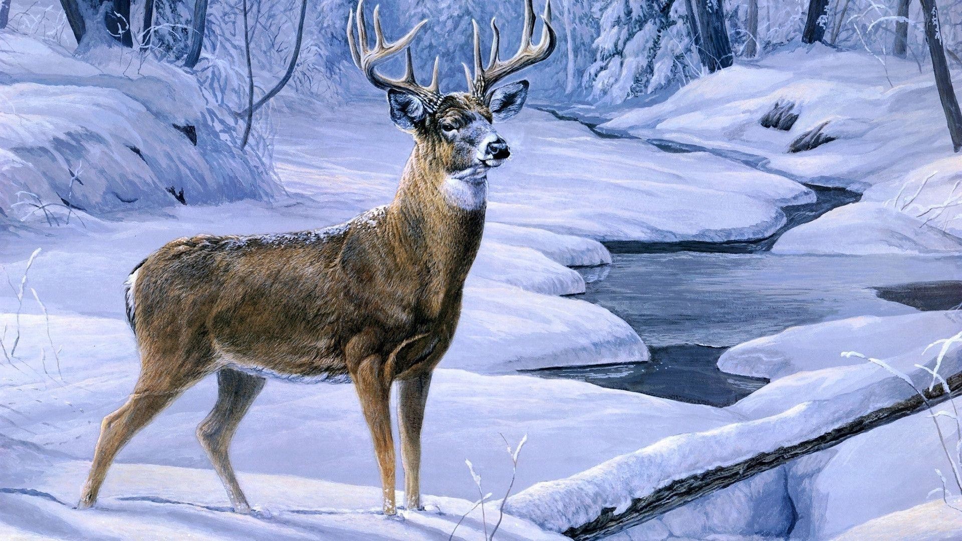 1920x1080 Hd Deer Hunting Wallpaper- | HD Wallpapers | Desktop .