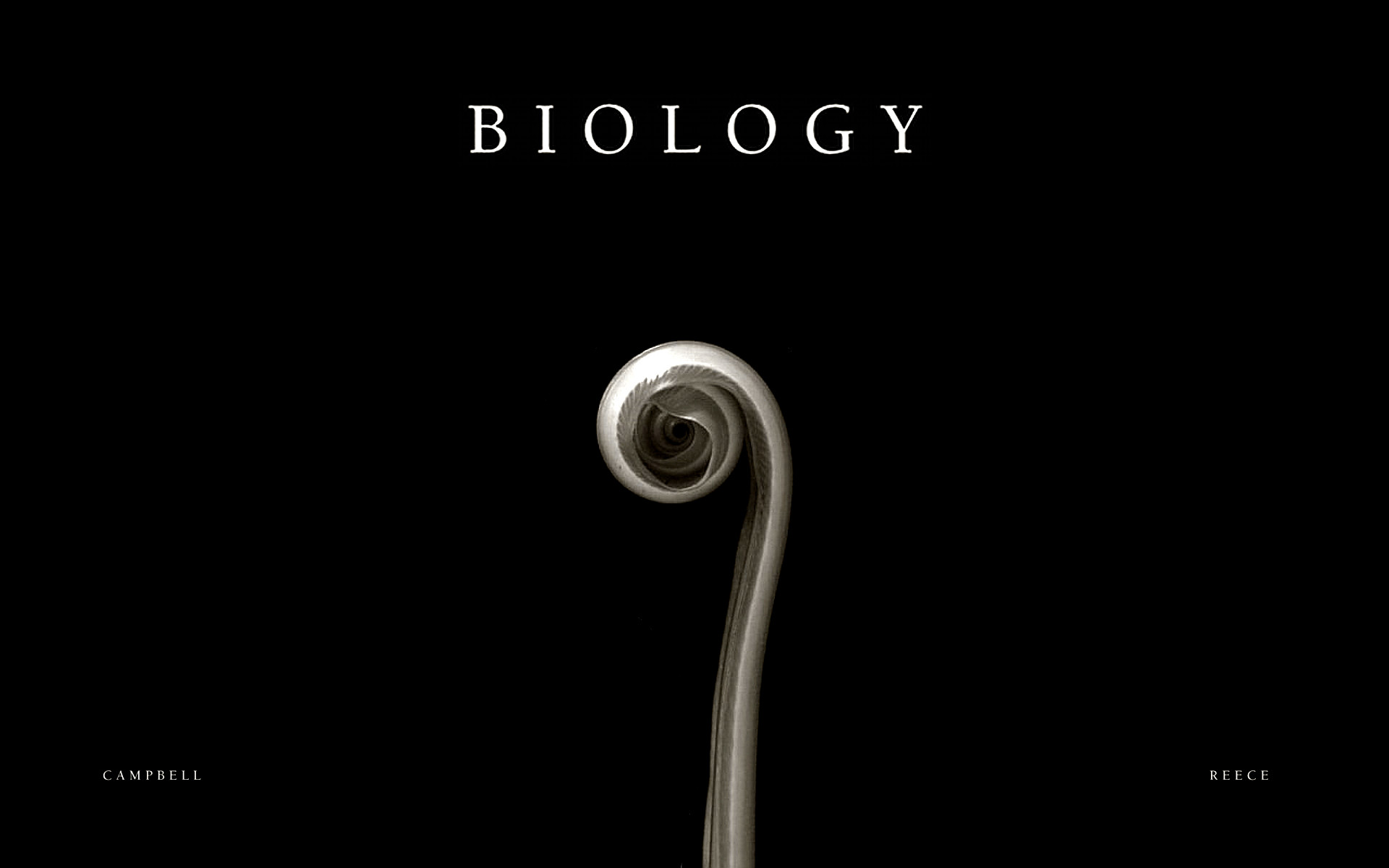 1920x1200 HD Biology Wallpaper | Wallpapers, Backgrounds, Images, Art Photos.