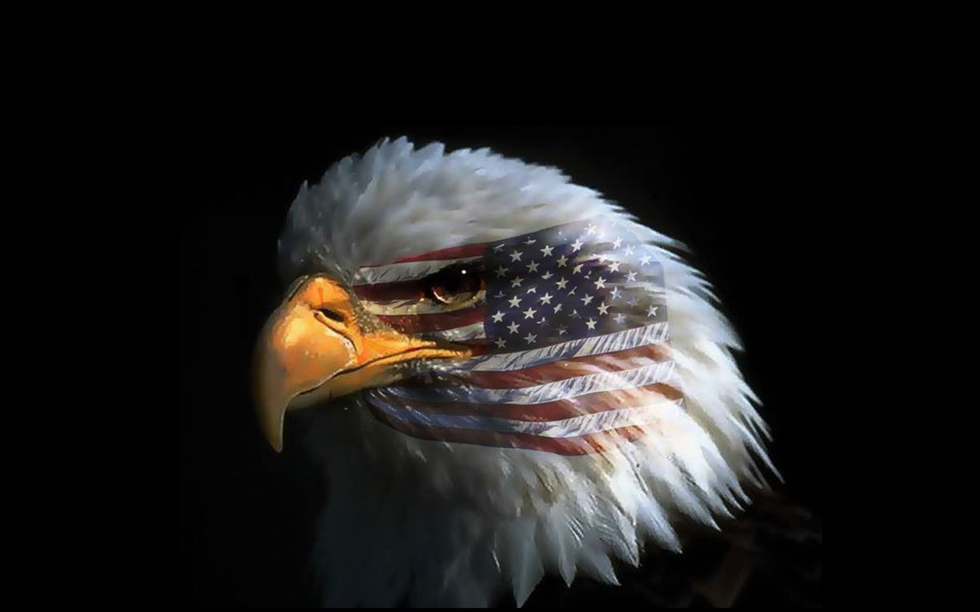 1920x1200 Wallpaper Of The Day: Eagle Eye American Flag
