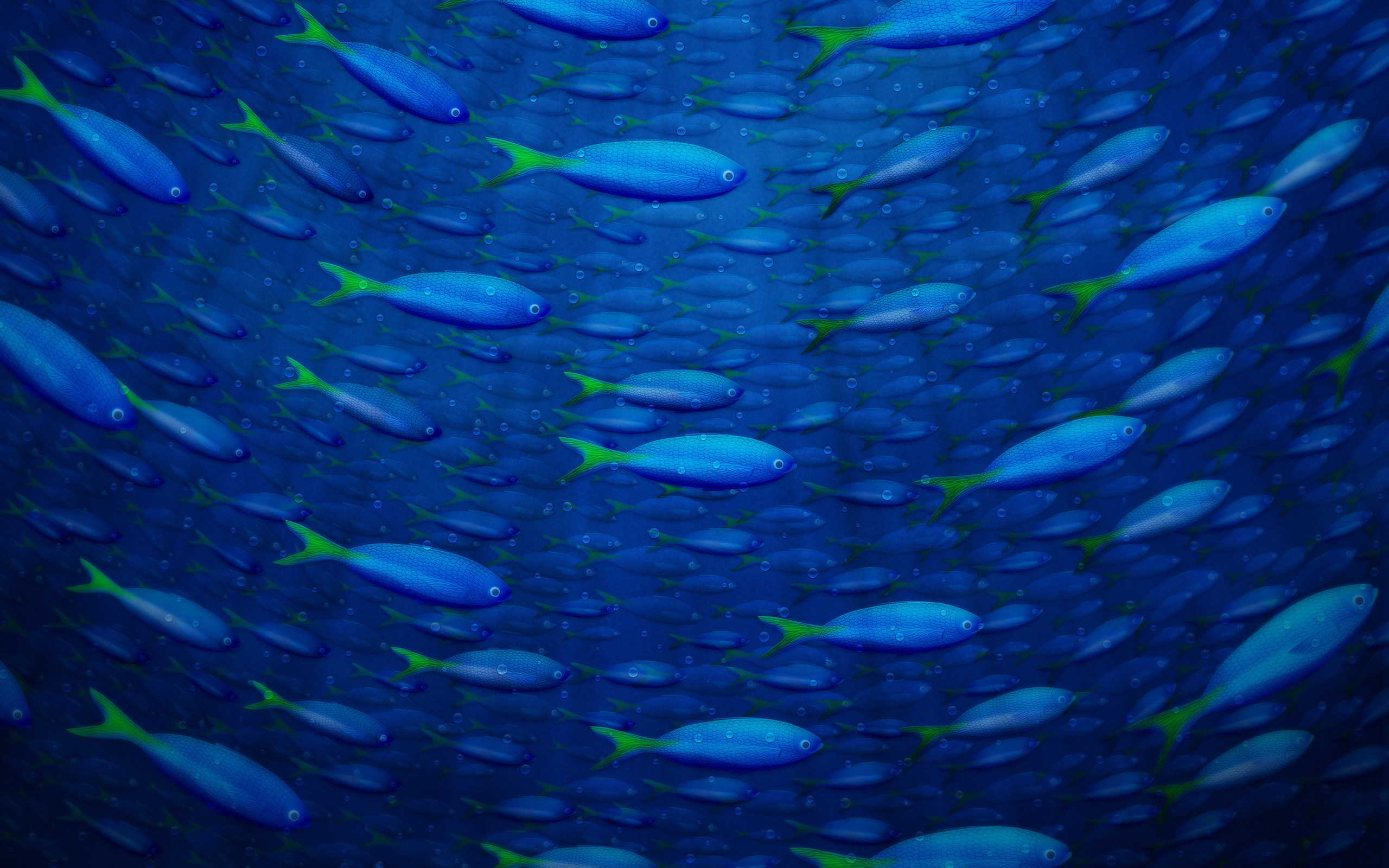 2560x1600 Underwater Fish