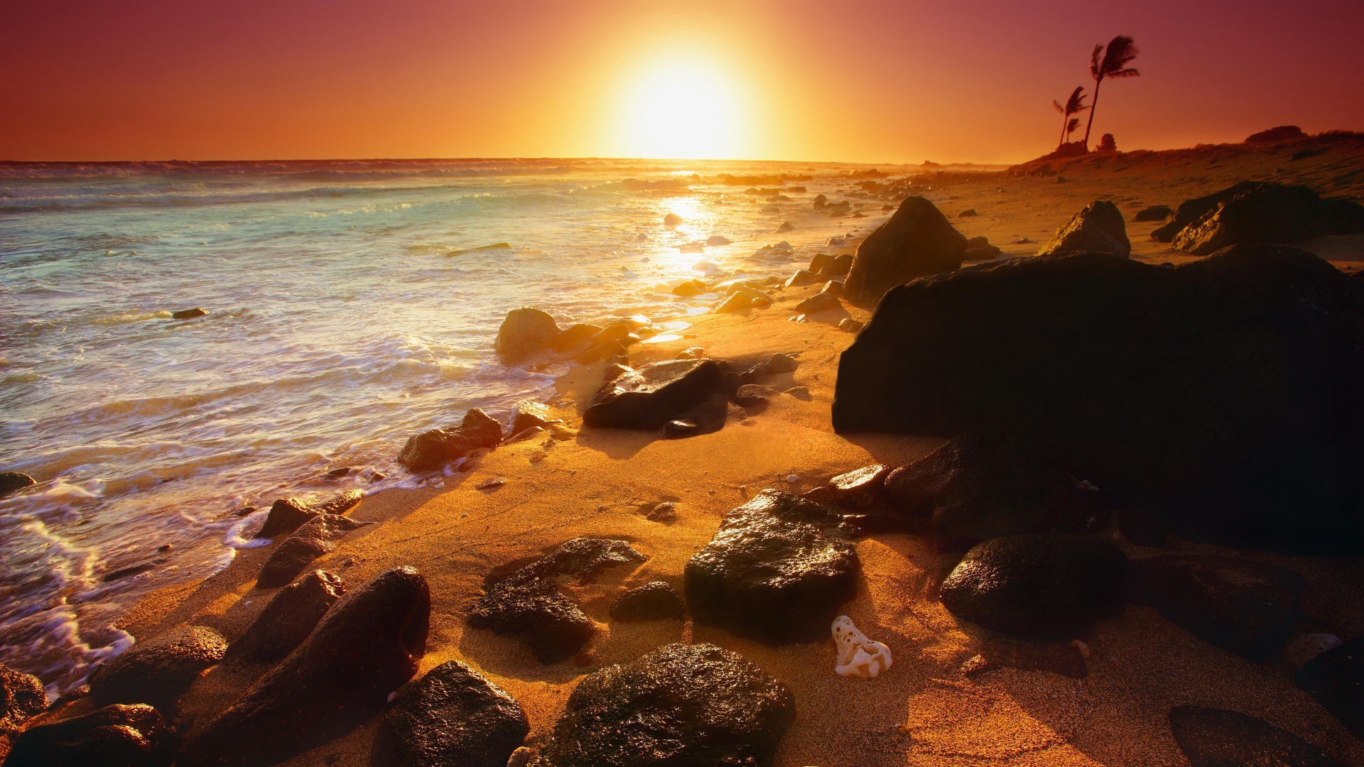 1920x1080 Palms Shoreline Wind Windy Hawaiian Hawaii Rocks Shore Sunset Beach  Wallpaper HD  - 