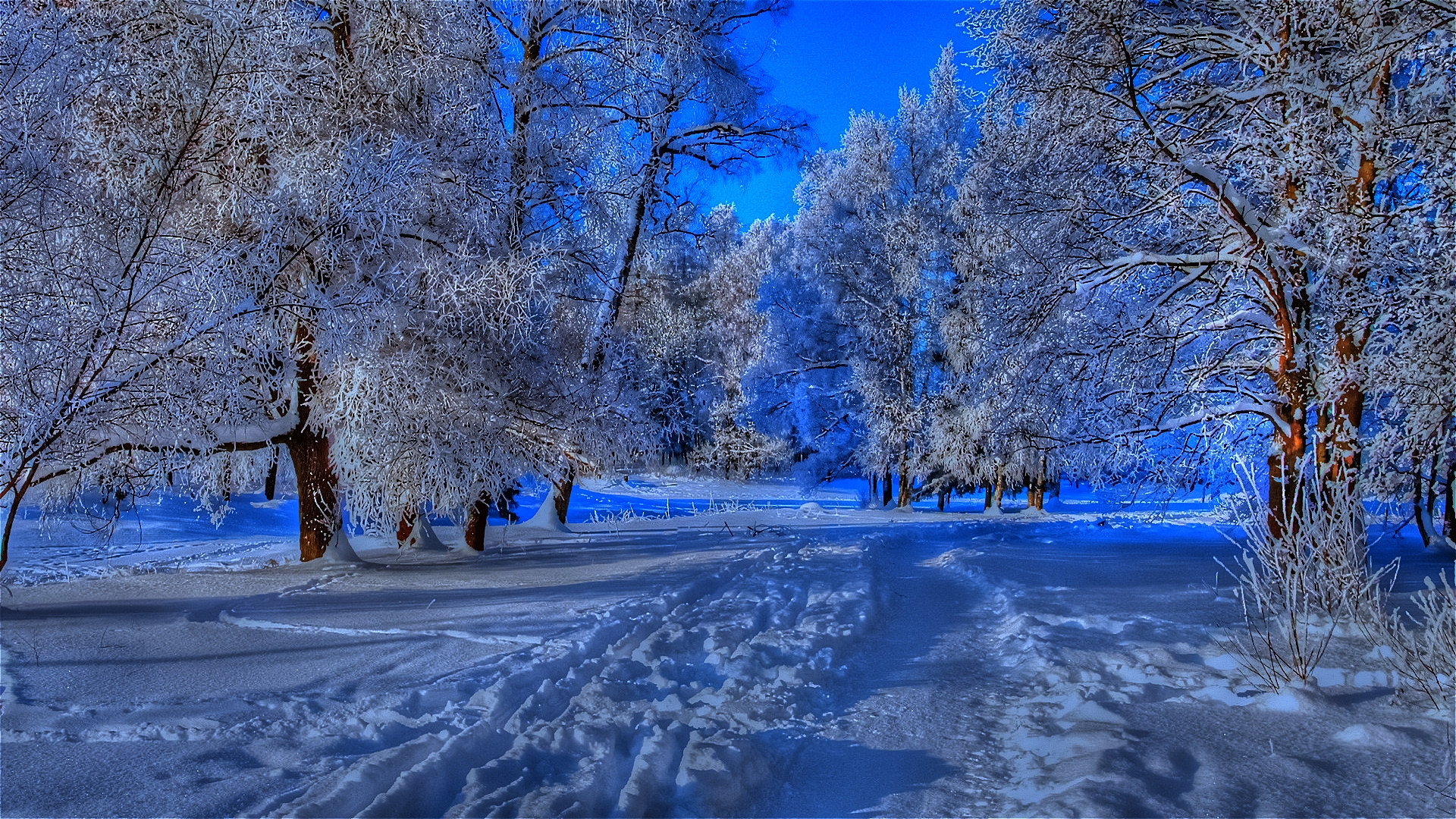 1920x1080 Western Snow Storm wallpaper | Storms and Winter storm ...
