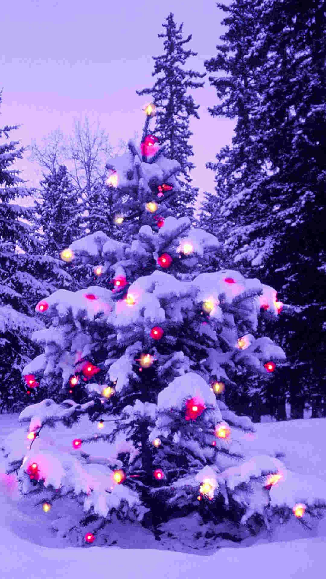 1080x1920 pink light 2014 Christmas tree iPhone 6 plus wallpaper - nature #2014 # Christmas #