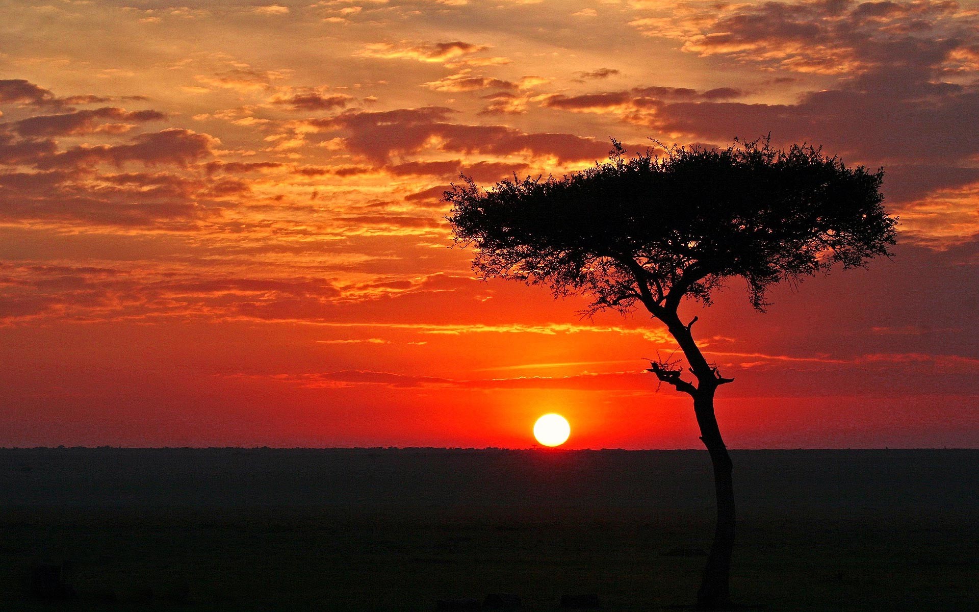 1920x1200 African Landscape Sunset Background Wallpaper