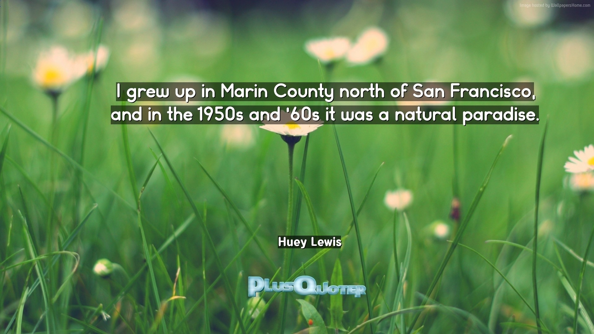 1920x1080 Download Wallpaper with inspirational Quotes- "I grew up in Marin County  north of San. “