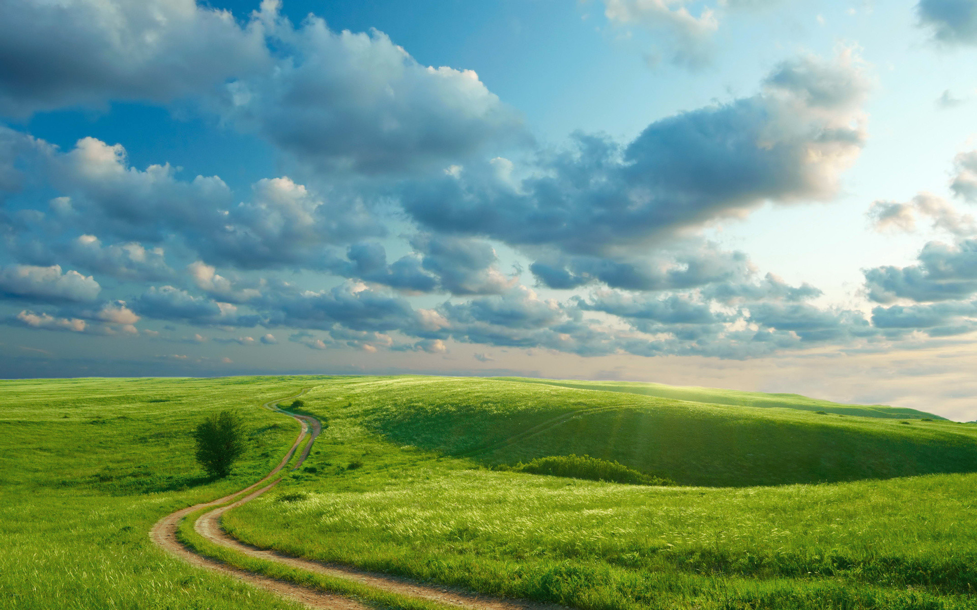 1920x1200 Hills Grass Path Tree Sky wallpapers and stock photos