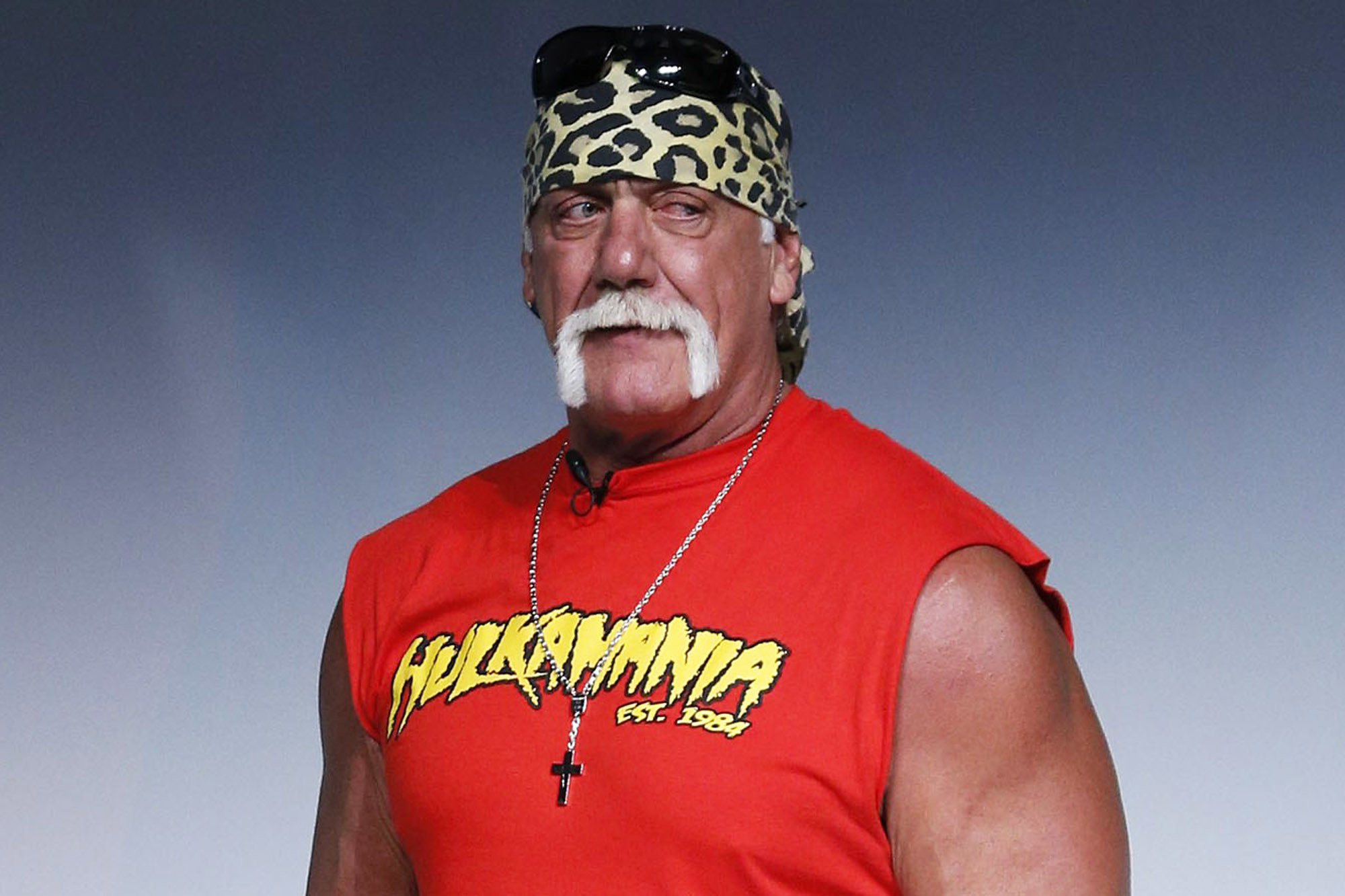 2000x1333 Pierce Brosnan Hulk Hogan