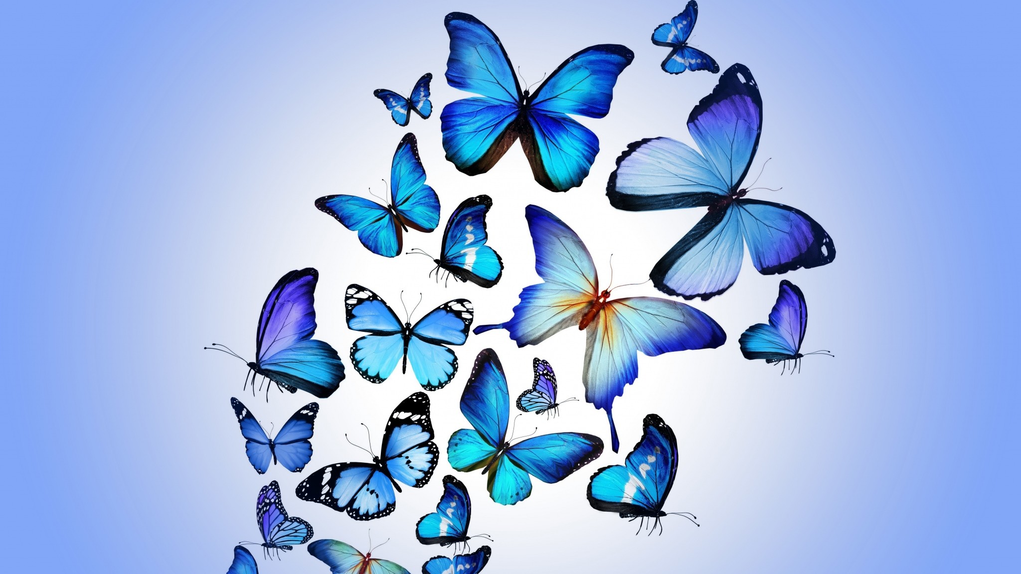 2048x1152 Preview wallpaper butterfly, colorful, blue, drawing, art, beautiful  