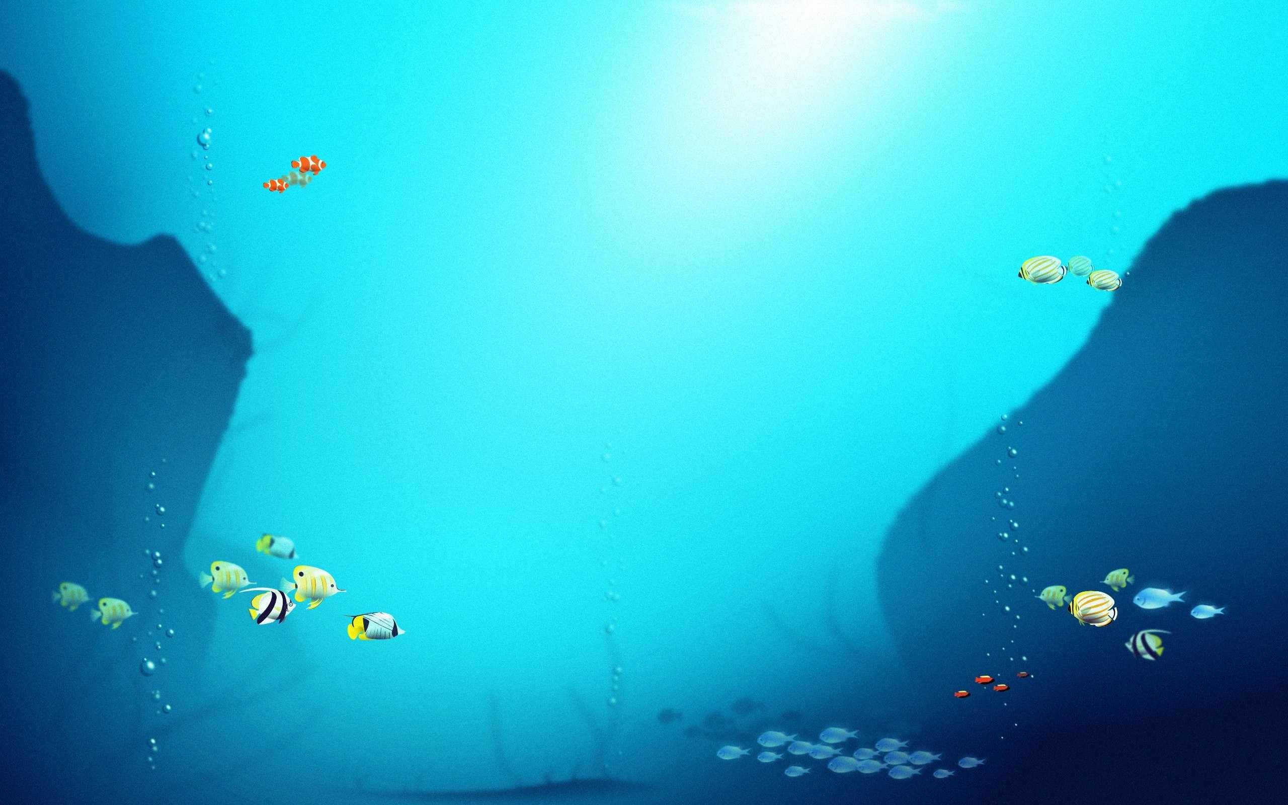 2560x1600 611 Fish Wallpapers | Fish Backgrounds Page 21