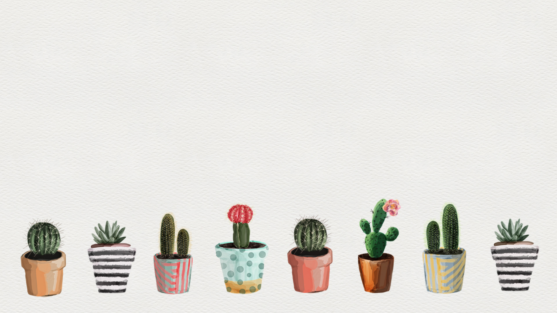 1920x1080 The gallery for --> Succulents Wallpaper