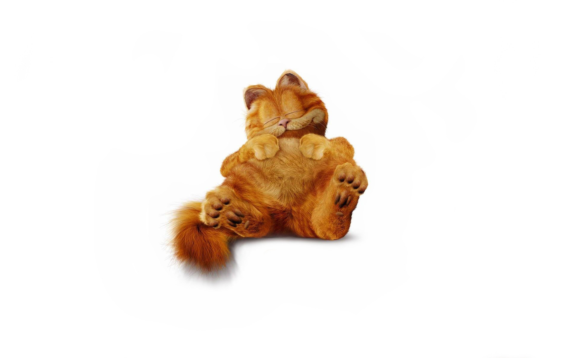 1920x1200 Garfield furry cat minimalist wallpaper |  | 69494 | WallpaperUP