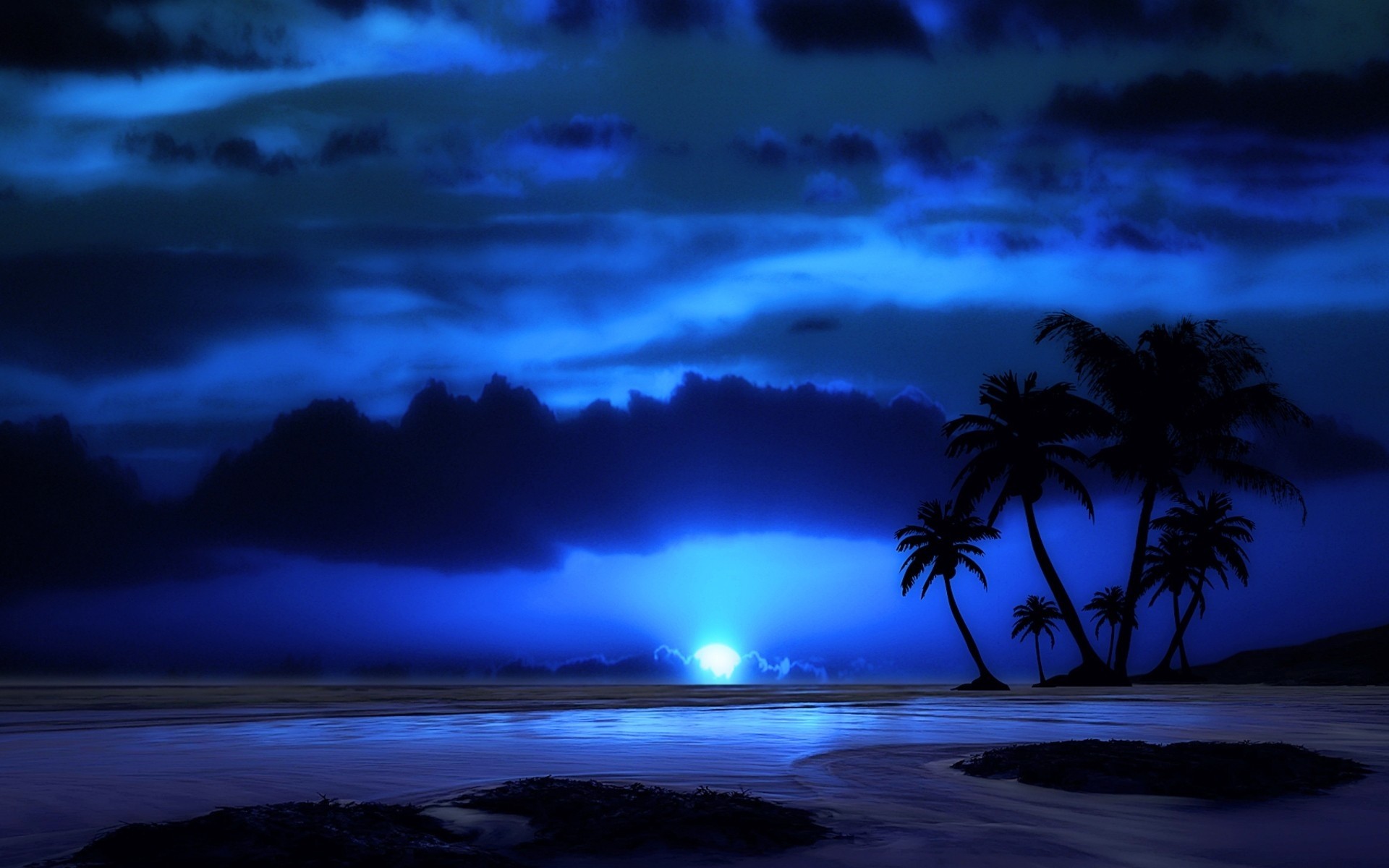 1920x1200 beaches palm trees wallpapers Luxury beaches night silhouettes sea brach  silhoueetes moon palm trees