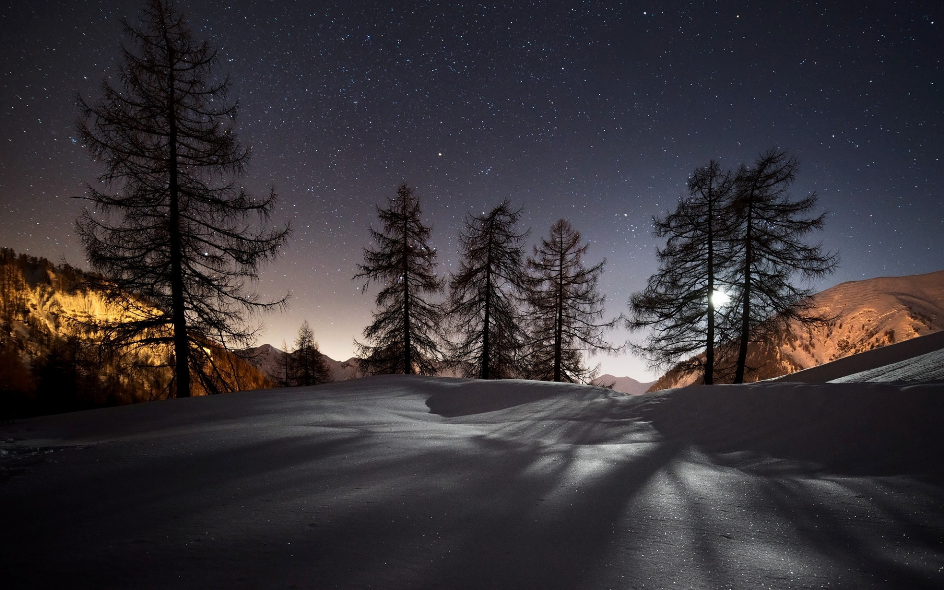 1920x1200 Preview wallpaper winter, trees, snow, night, landscape 