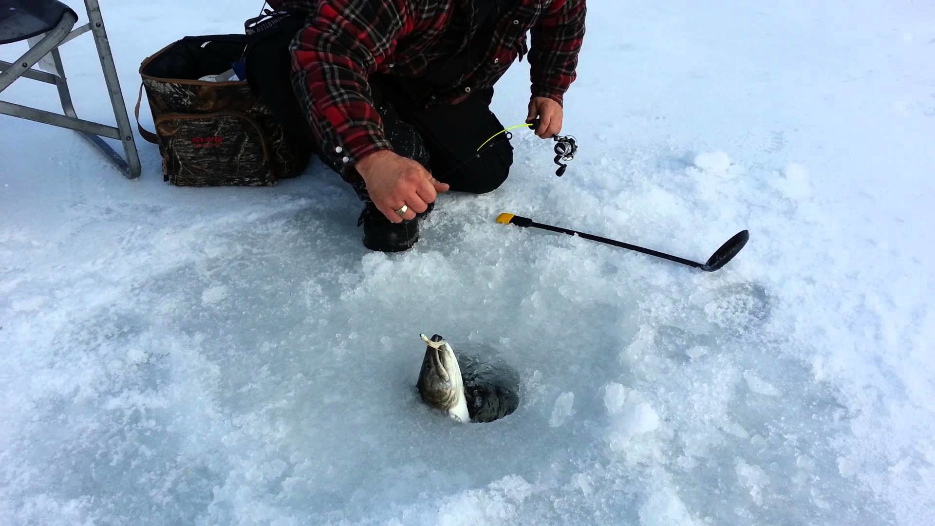 1920x1080 Ice Fishing The Ultimate Guide Podcast #240