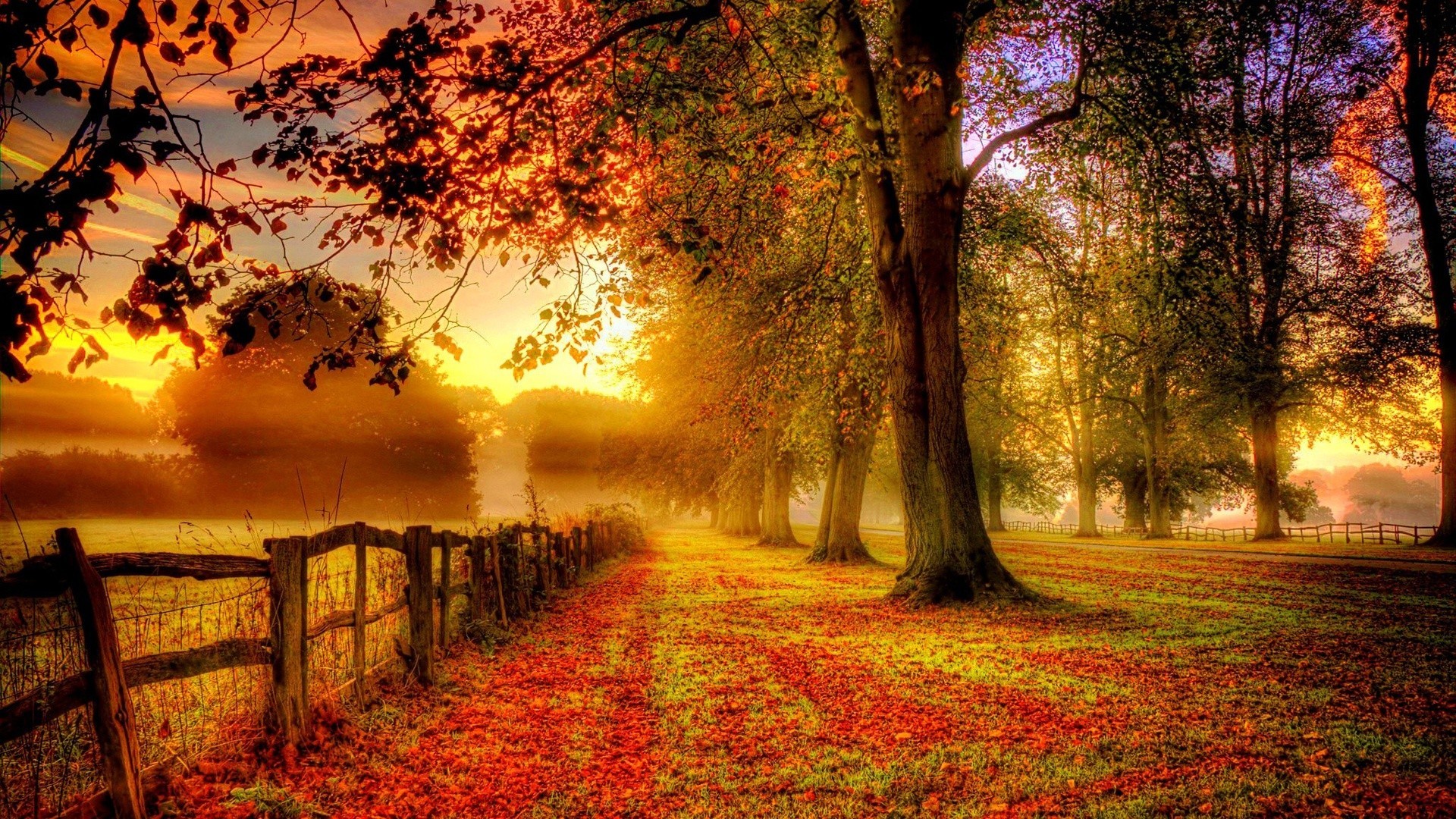 1920x1080 Fences Tag - Wondrous Autumn Landscape Sunset Fields Fences Trees Leaves  Park Scenery Red Road Fence