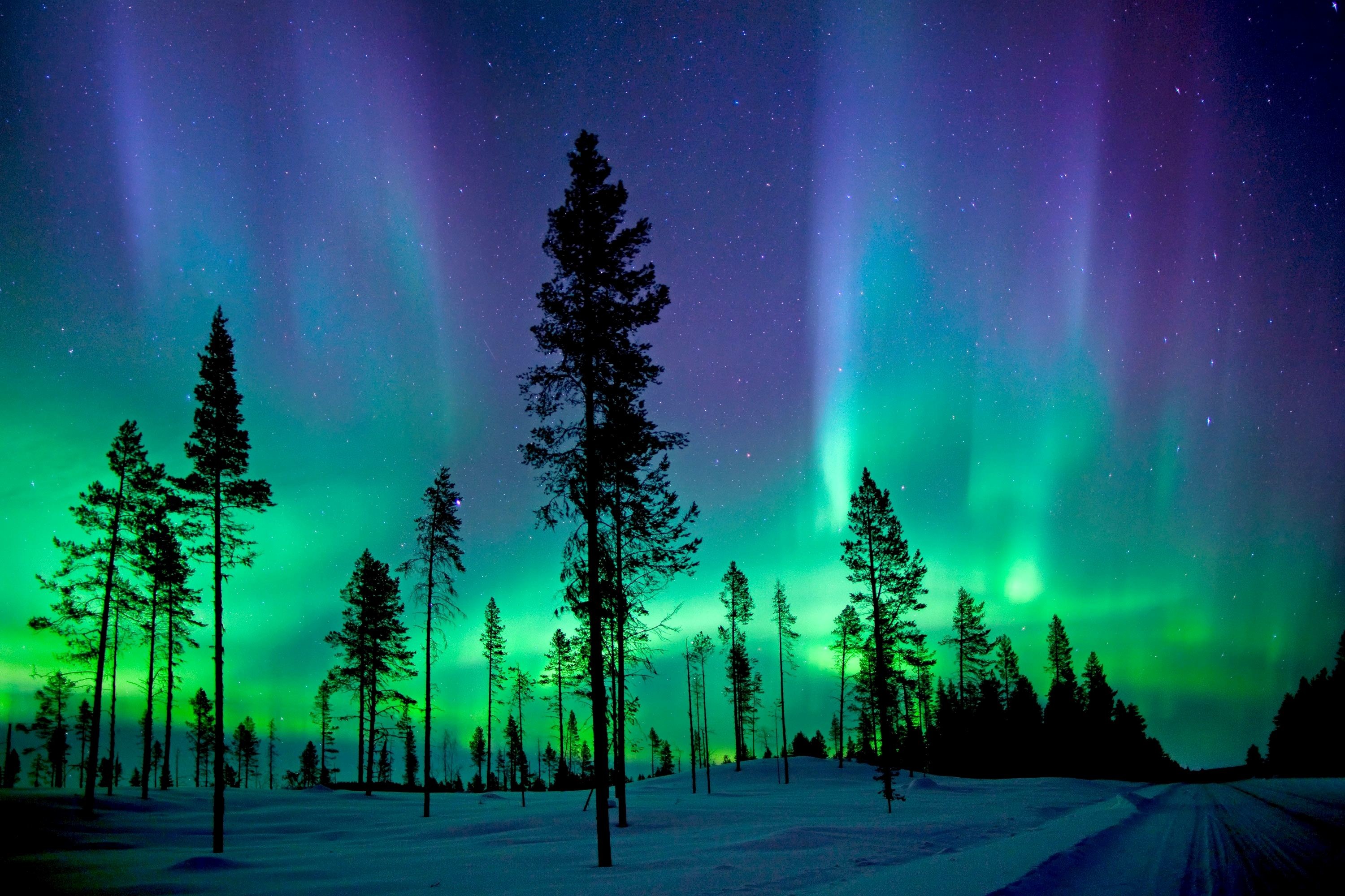 northern lights in usa