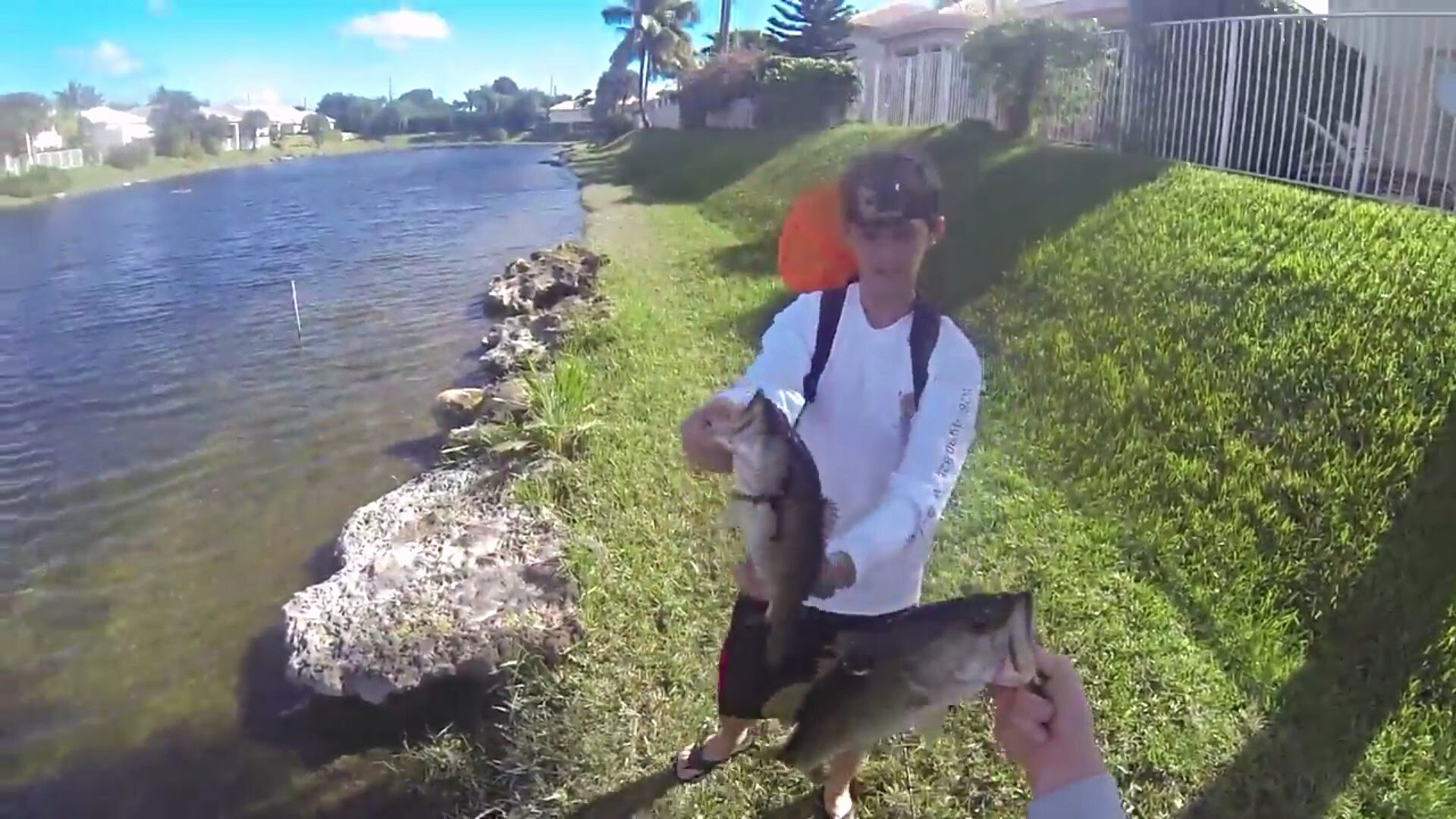 1920x1080 Crazy epic South Florida (Boca Raton) freshwater Largemouth bass fishing;  multiple double hook-ups