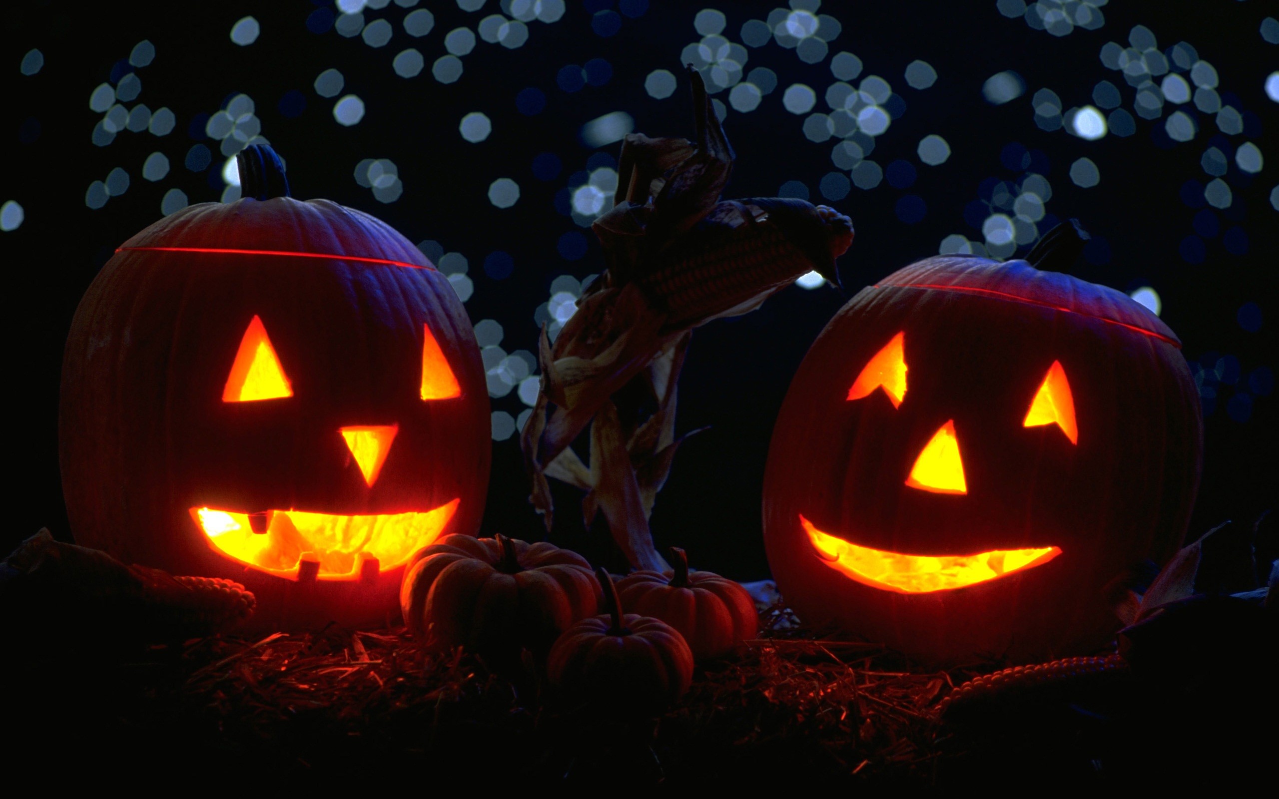 2560x1600 pumpkins with candles in the night halloween widescreen wallpapers ...  Pumpkins With Candles In The Night Halloween Widescreen Wallpapers
