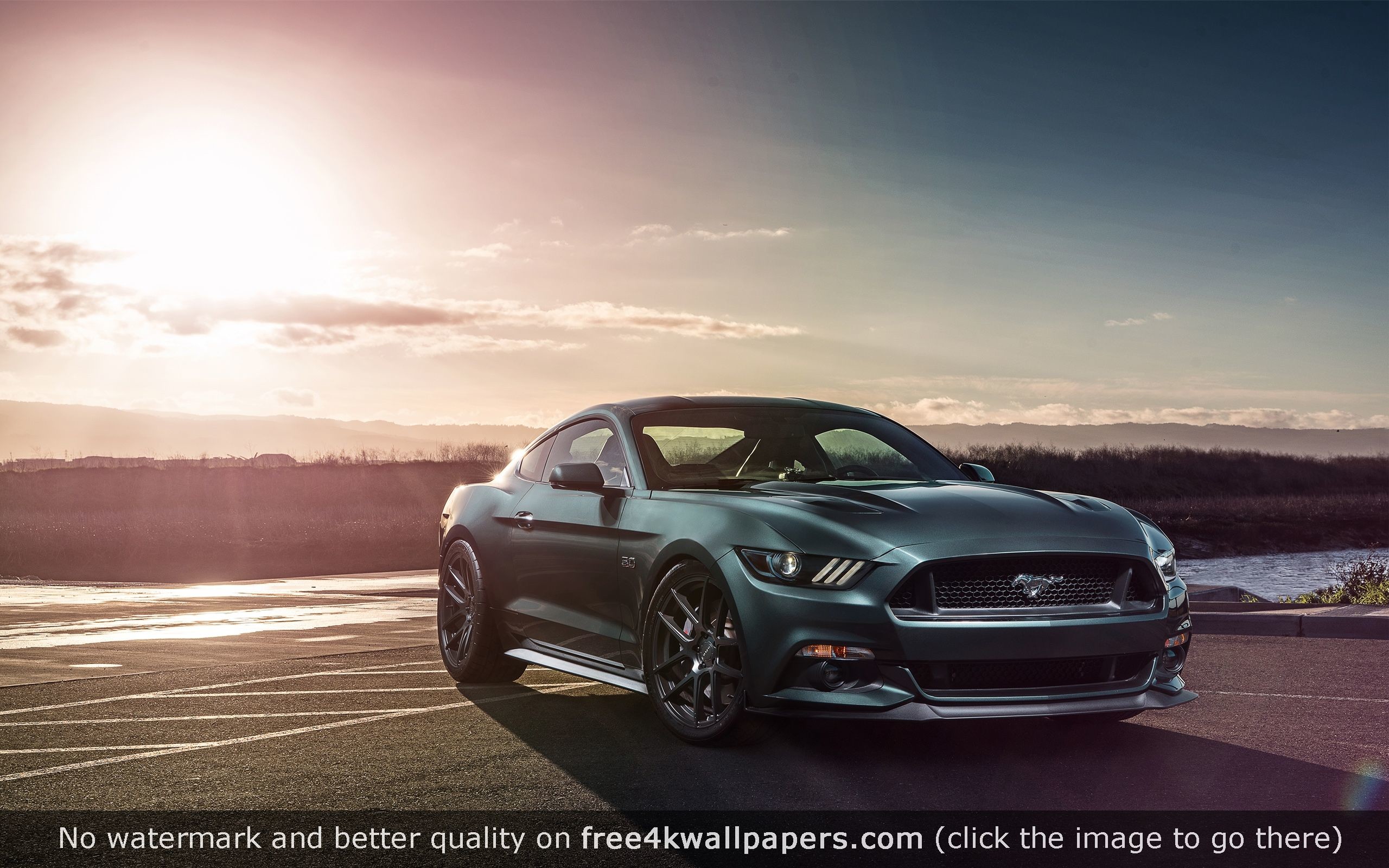 2560x1600 Ford Mustang GT Velgen Wheels 4K or HD wallpaper for your PC, Mac or Mobile  device